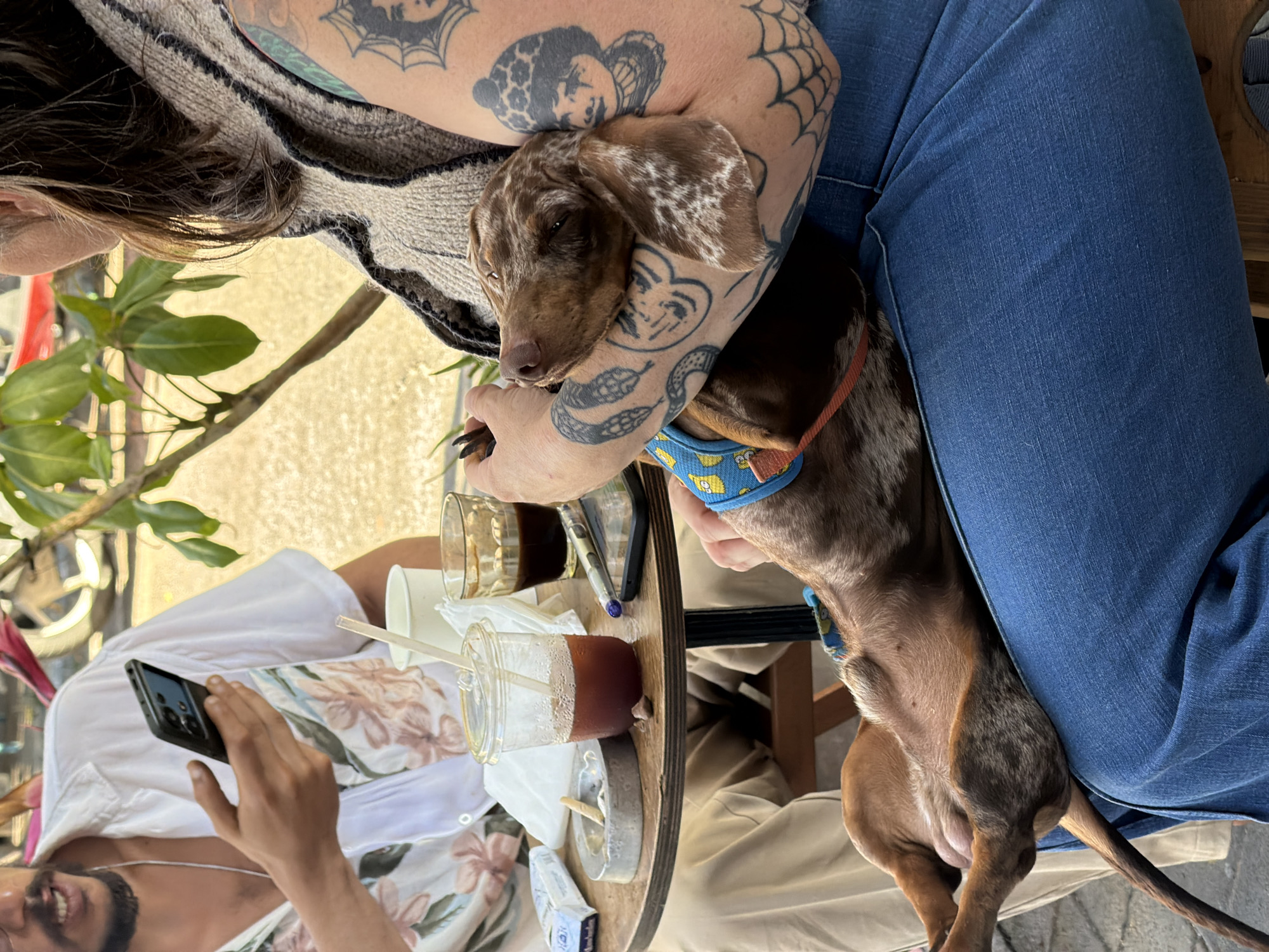 Everyday street life documented across Tel Aviv neighborhoods