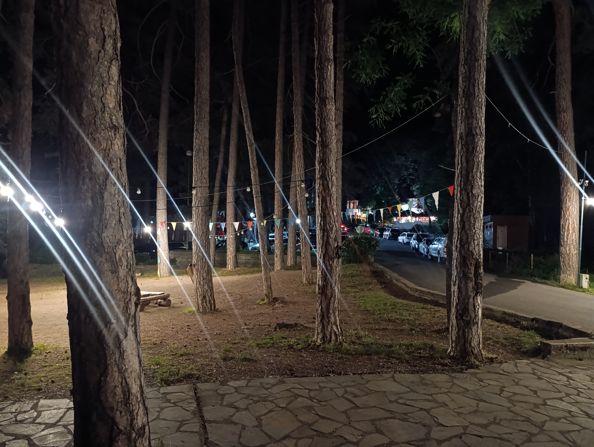 Nighttime illumination observed in Kyustendil wooded recreational area