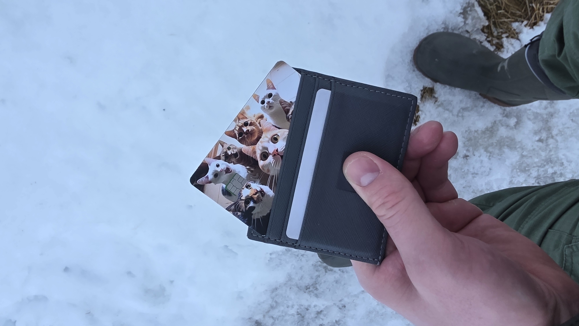 Person holds cat card wallet in snowy Russian conditions