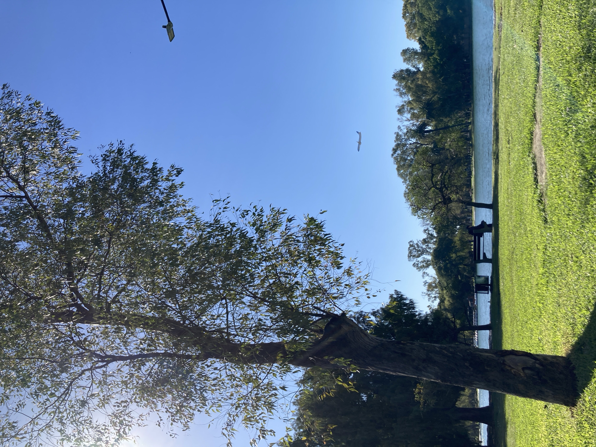 Peaceful park scene documented in sunny Buenos Aires afternoon