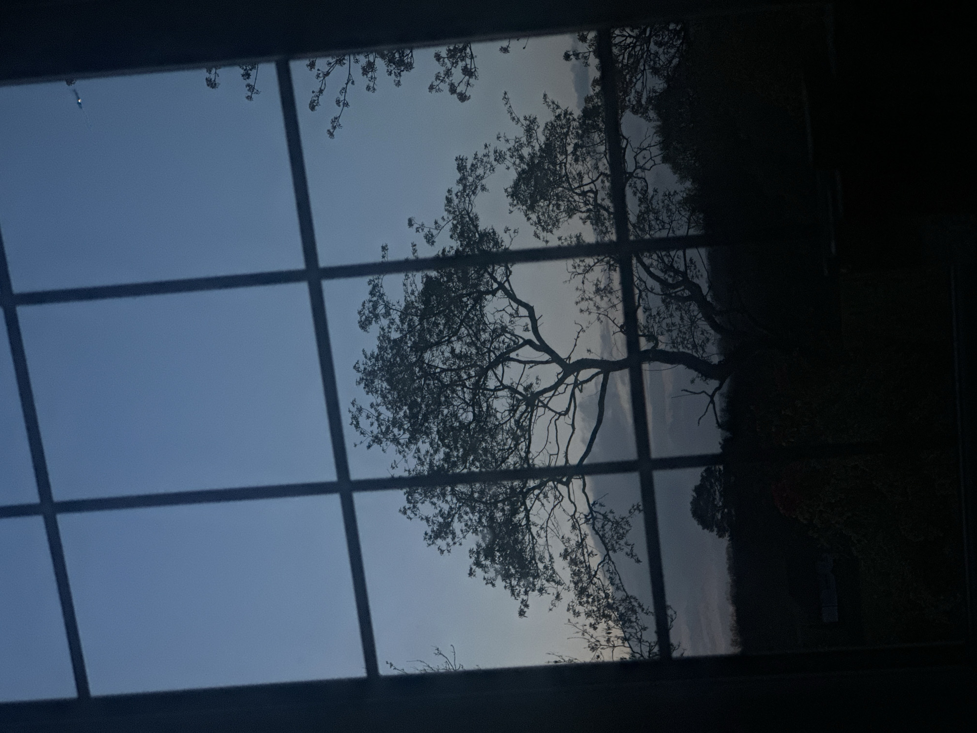 Woman and dog share quiet moment in Wealden home