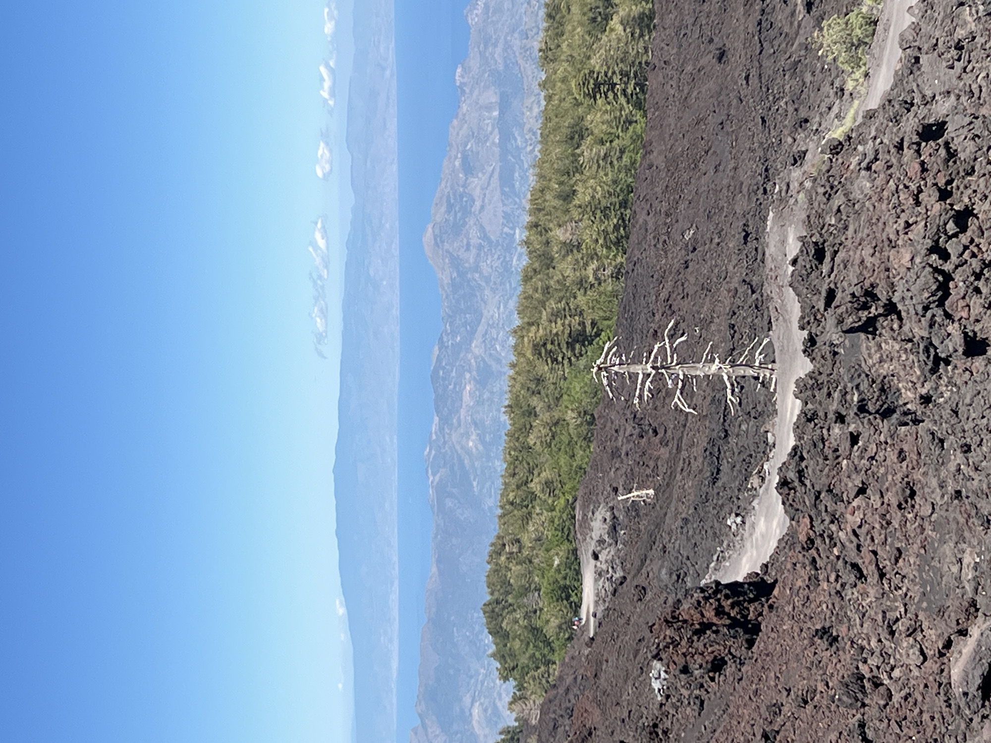 Mount Etna volcanic landscape tour near Linguaglossa, Sicily