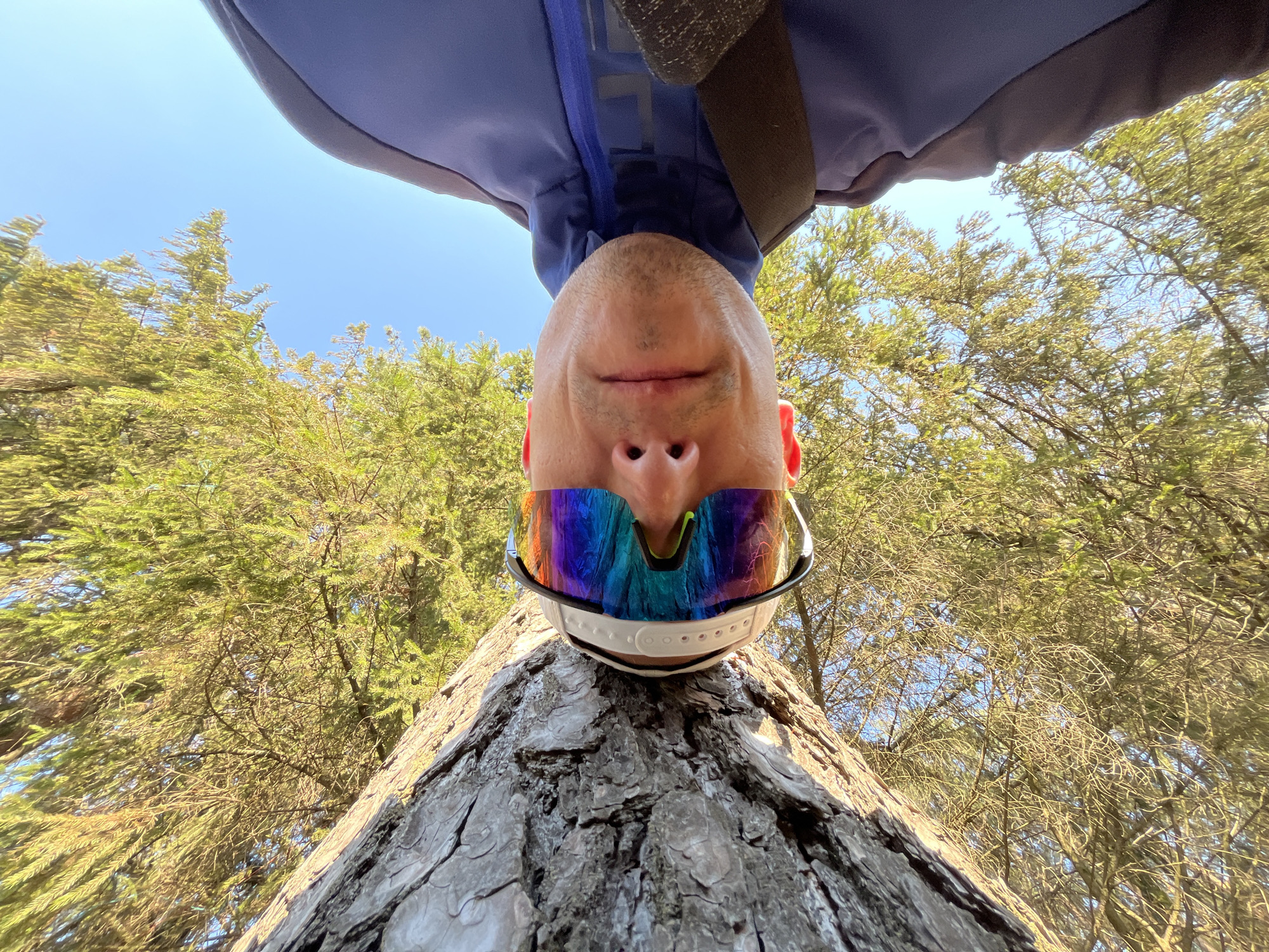 Cyclist documents family outing in Chaikovsky forest areas