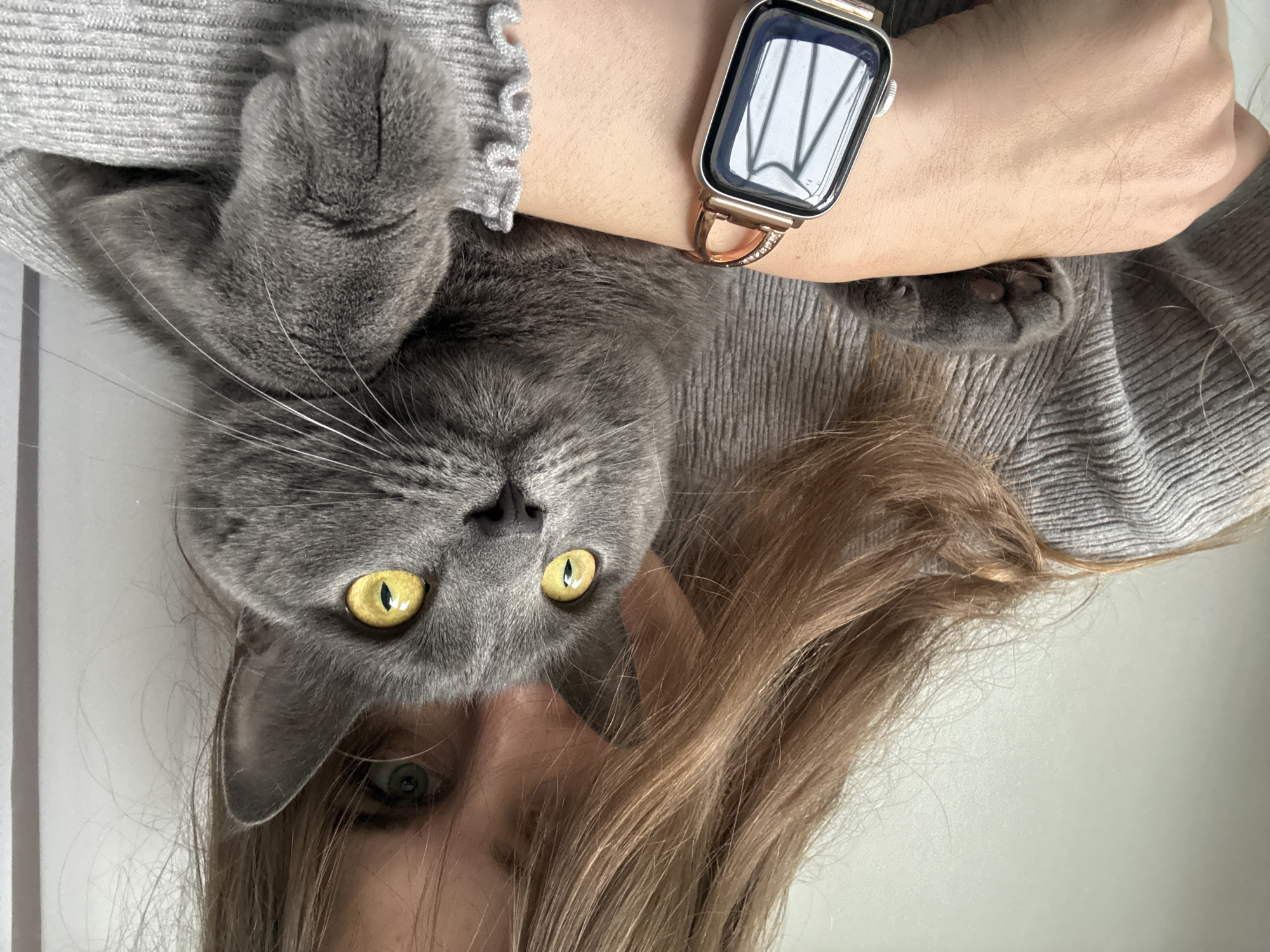 Woman documents playful moments with gray cat in Russia