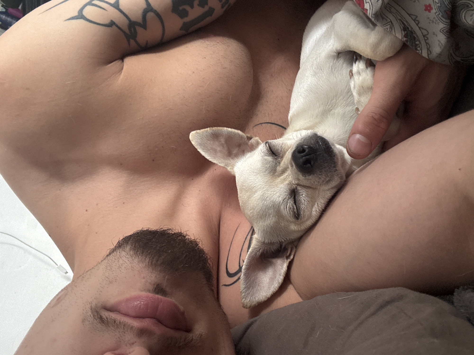 Chihuahua and tattooed owner share a lazy Sofia morning