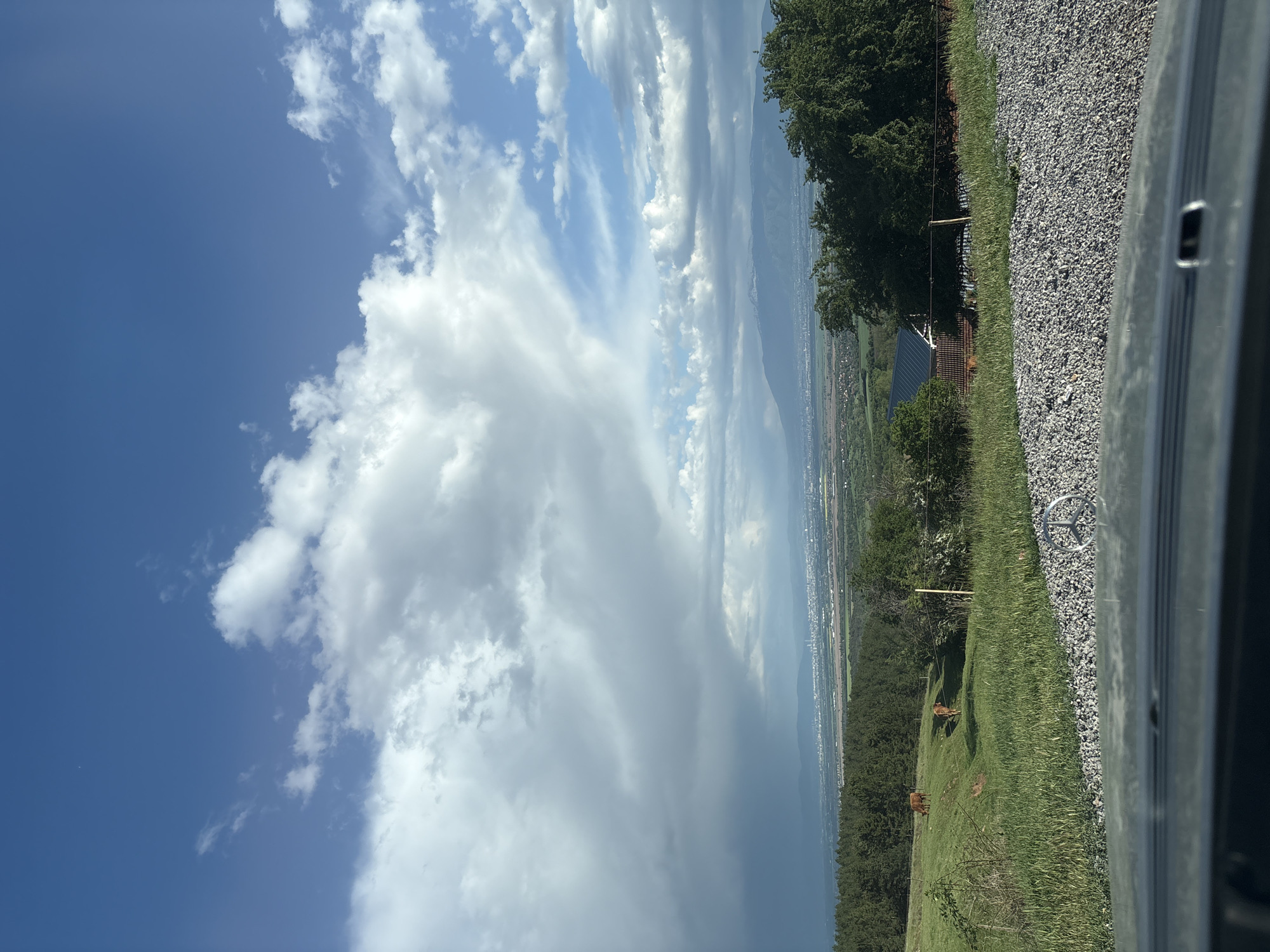 Traveler documents stormy road trip with dog companion