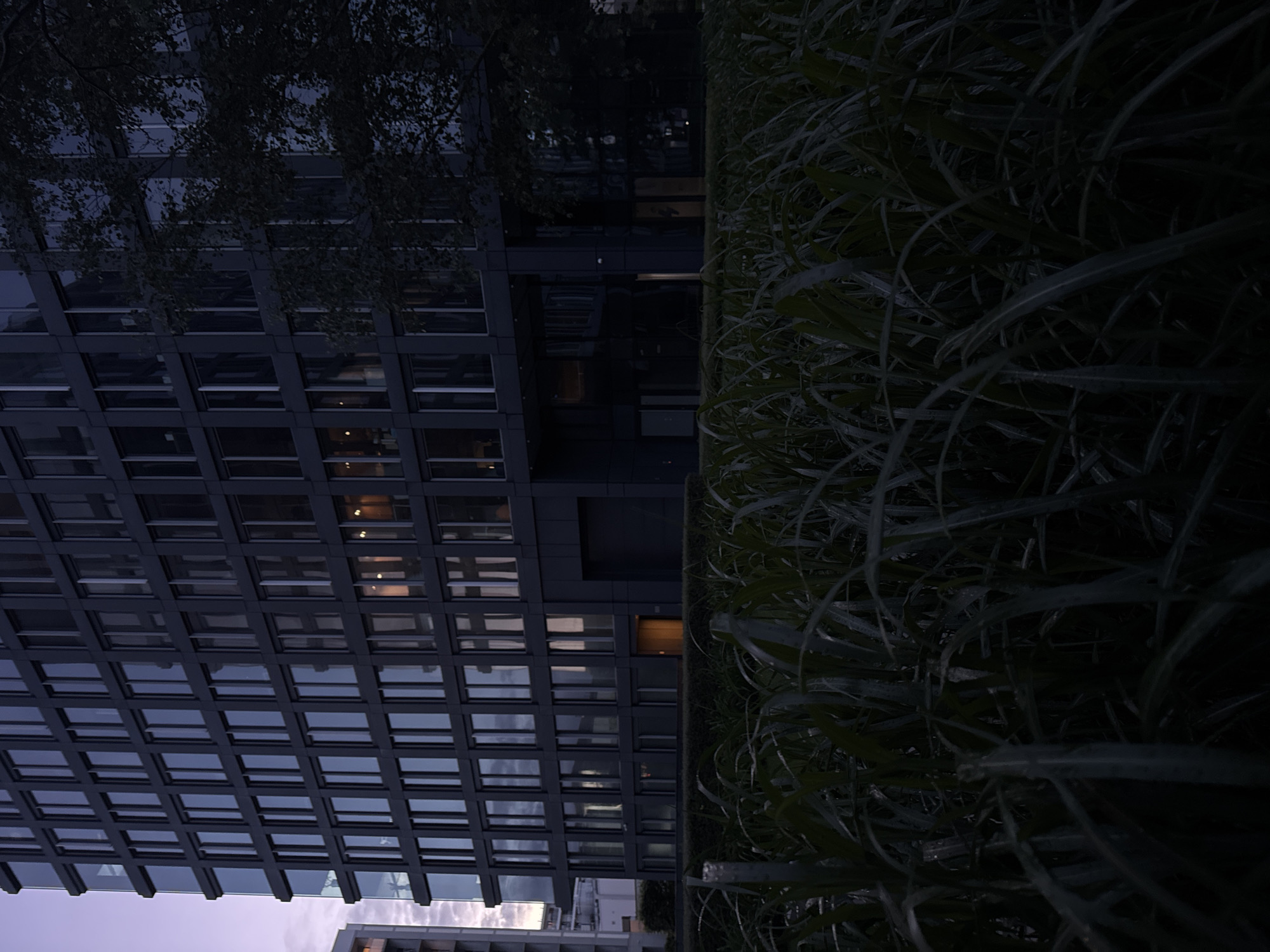 Evening views of modern office complex with landscaped courtyards