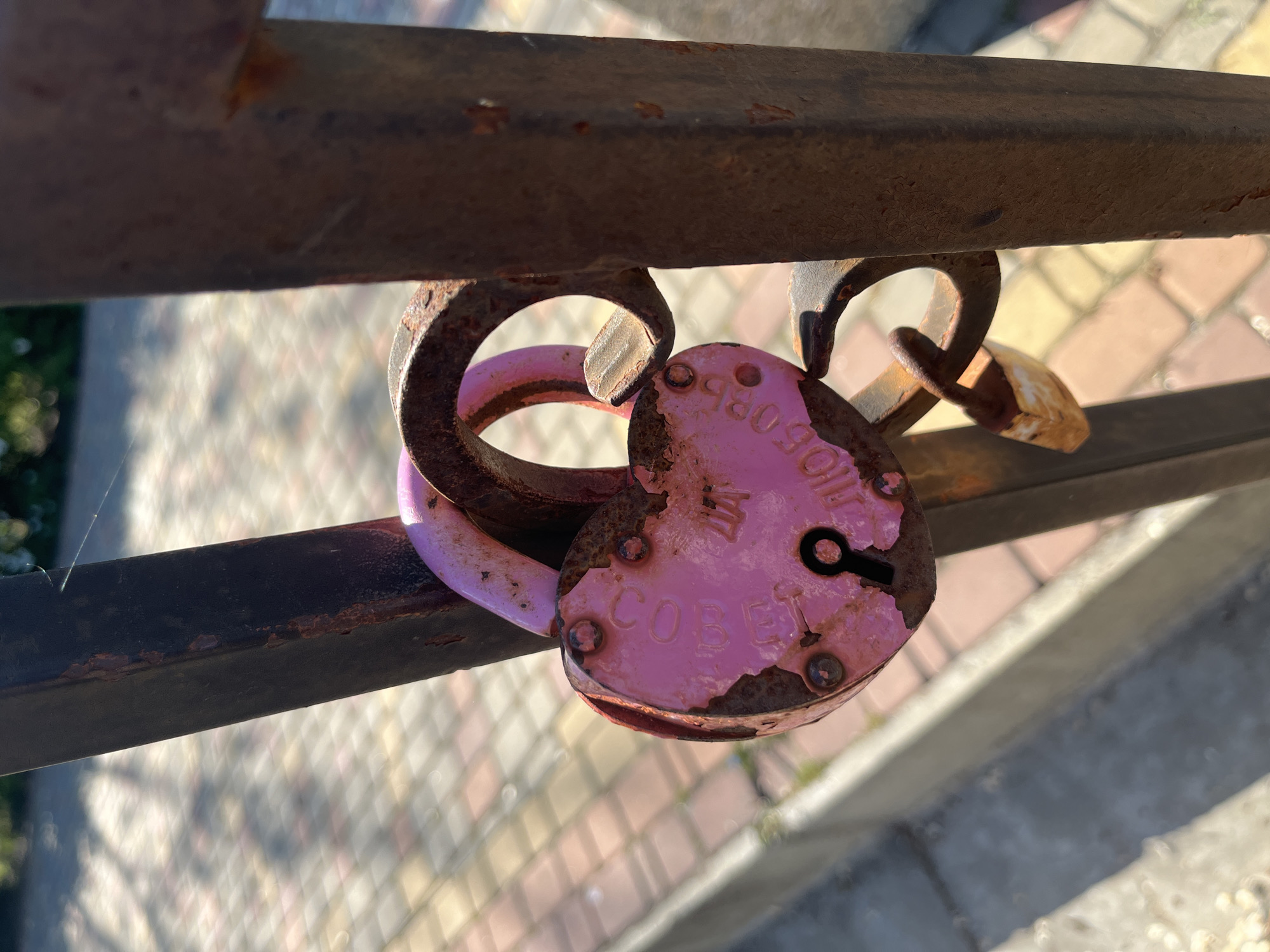 Park life captured: pigeons, dog walkers, love locks