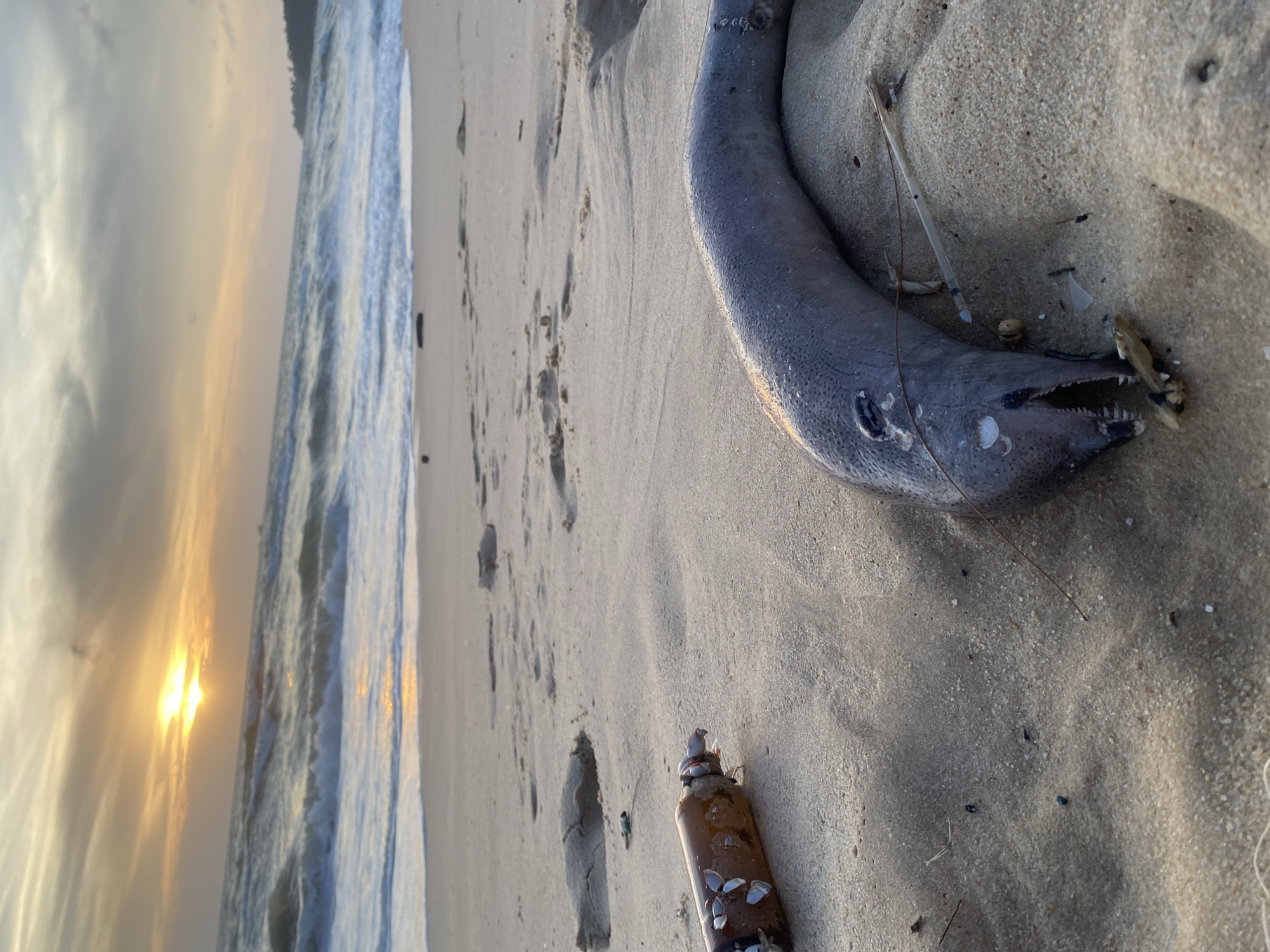 Sunset beach activities and marine debris observed at Choeng Thale