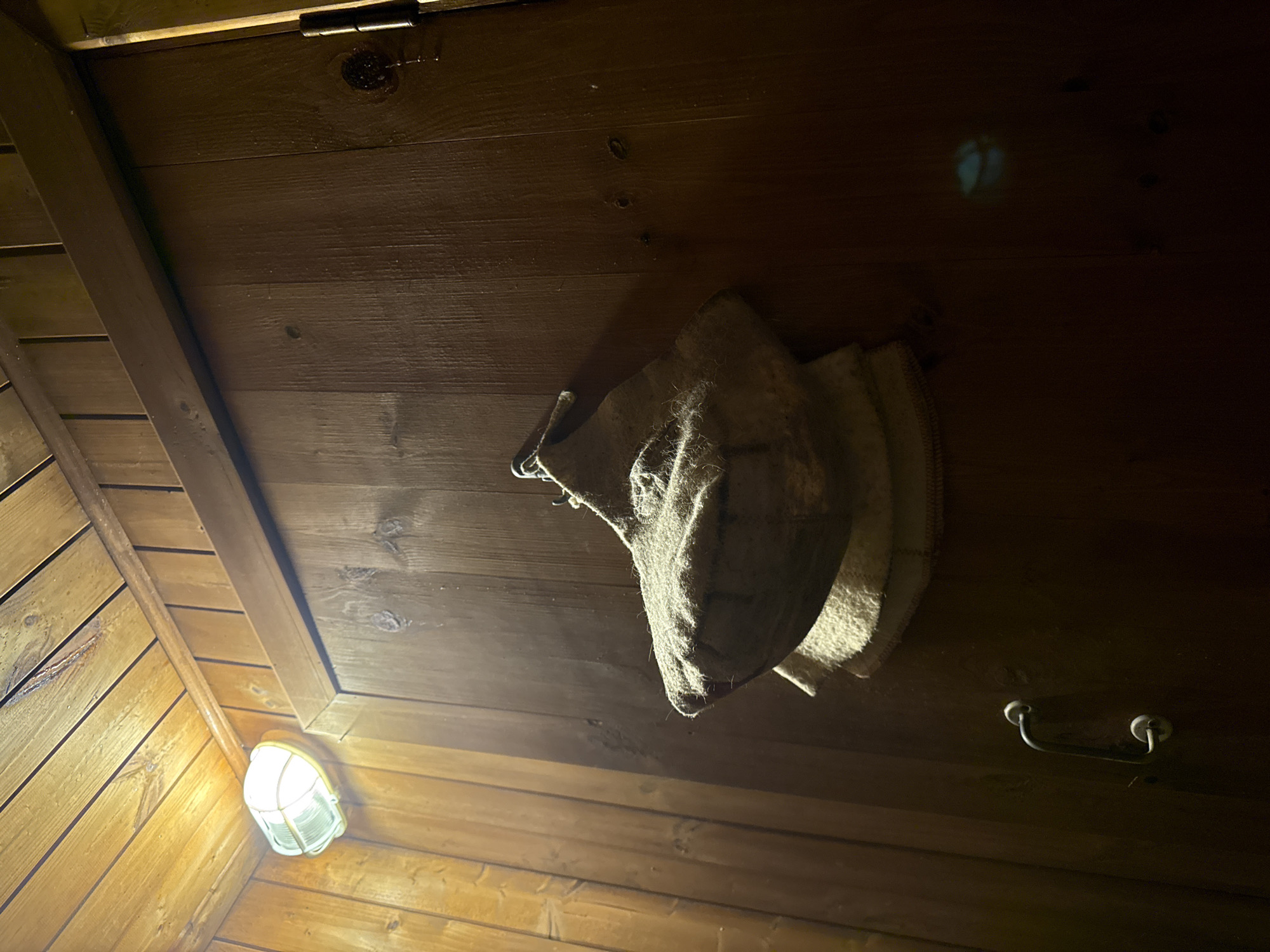 Traditional wooden sauna interior documented in Высокая Гора, Russia