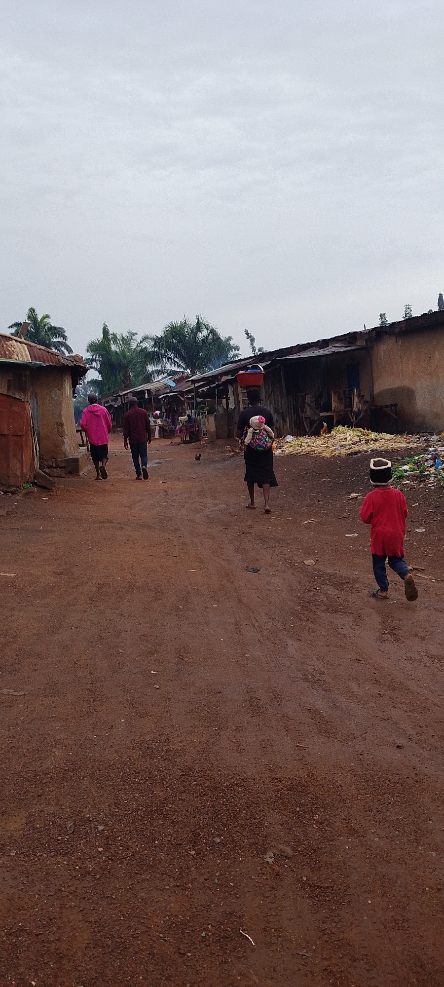 Morning life scenes documented in Gumel, Nigeria