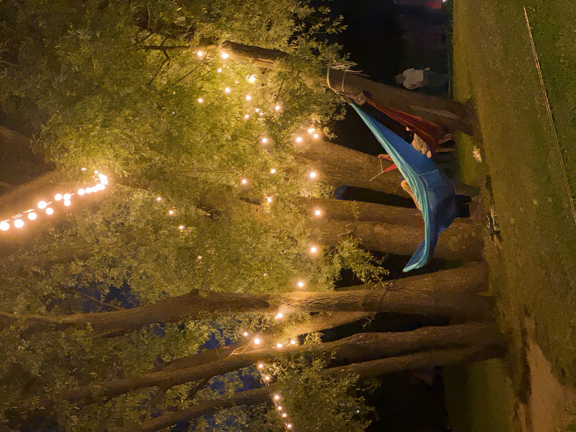 Summer evening at a modern waterside park with wildlife and crowds