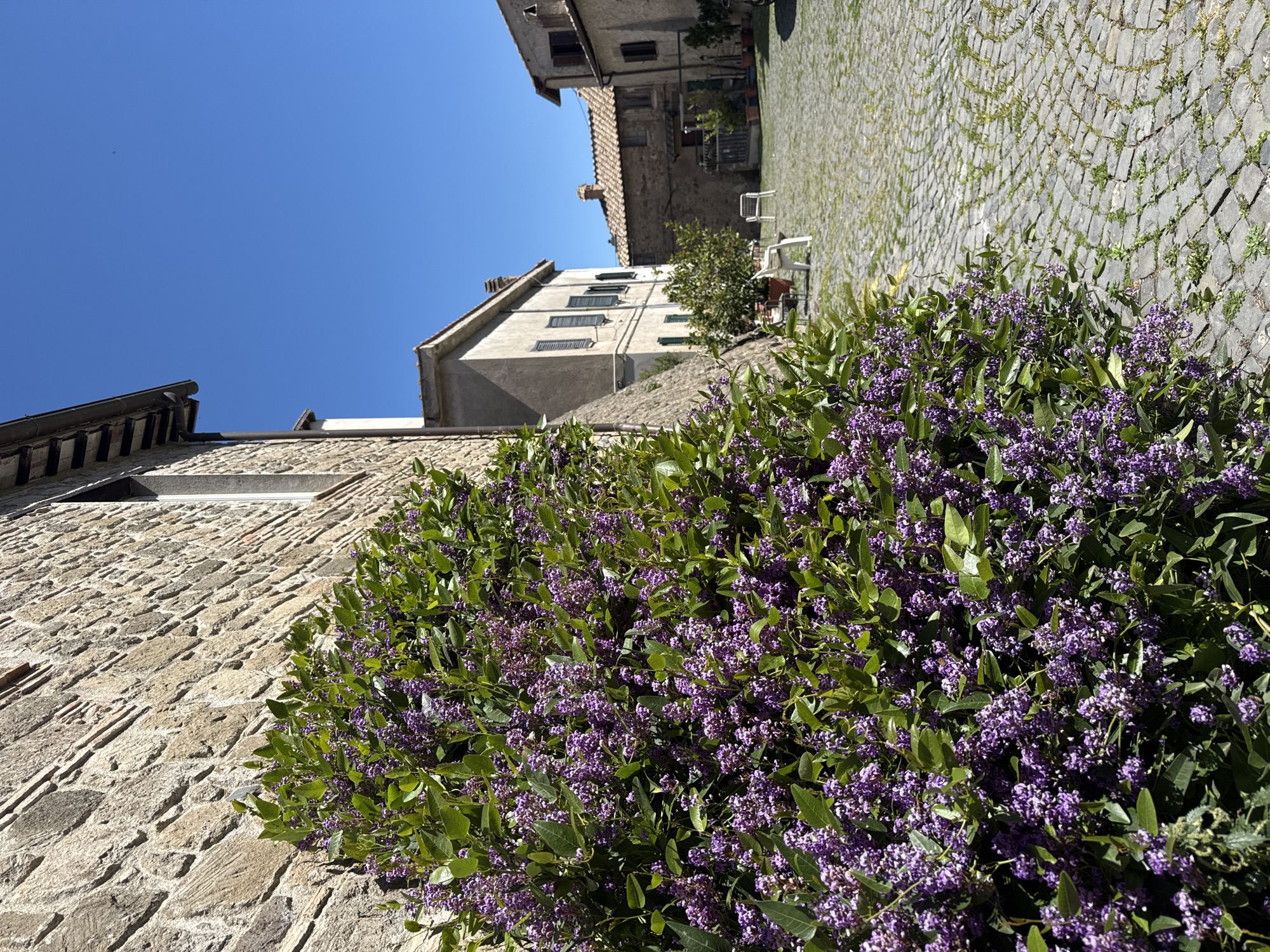 Walking tour captures Italian town's stone architecture and streetlife