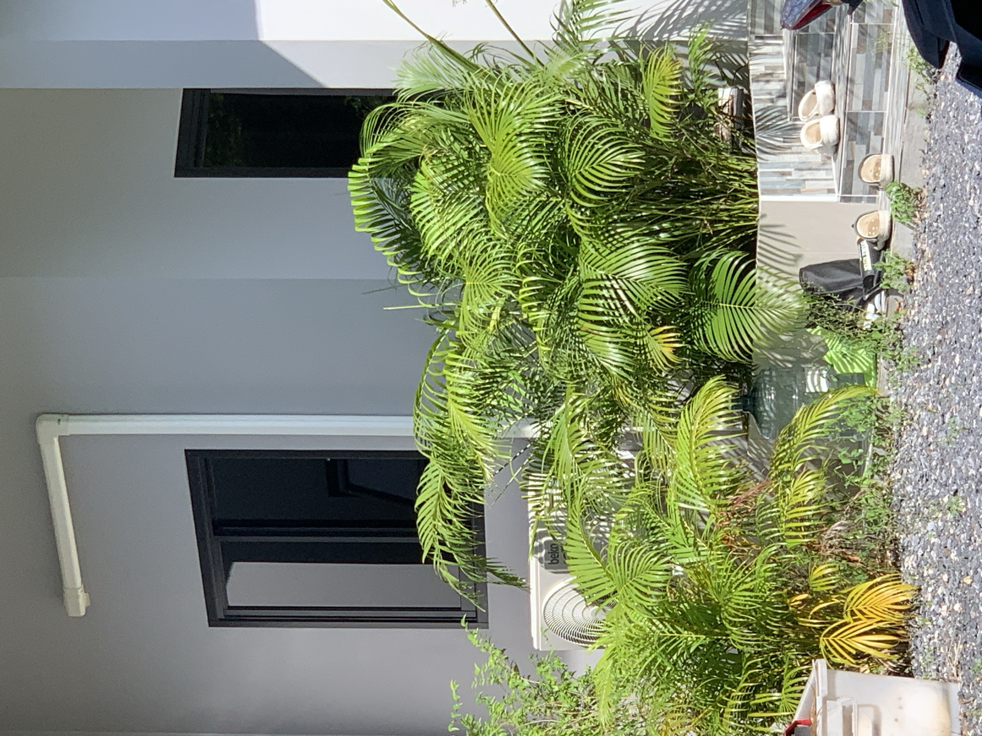 Ko Samui District, Thailand