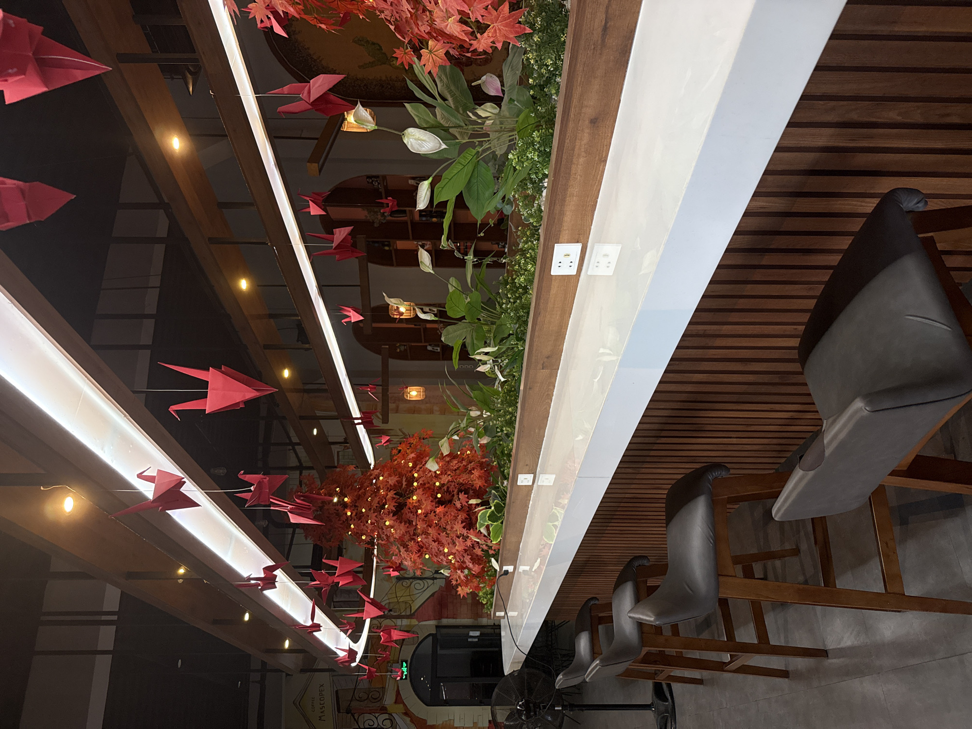 Inside a garden café with koi ponds in Nha Trang