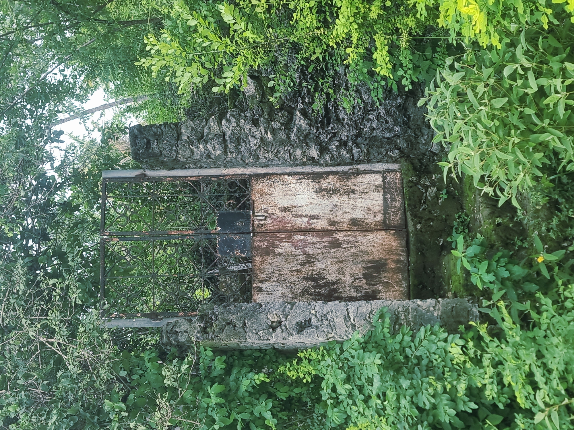 Overgrown abandoned entrance documented in Michamvi Kae, Tanzania