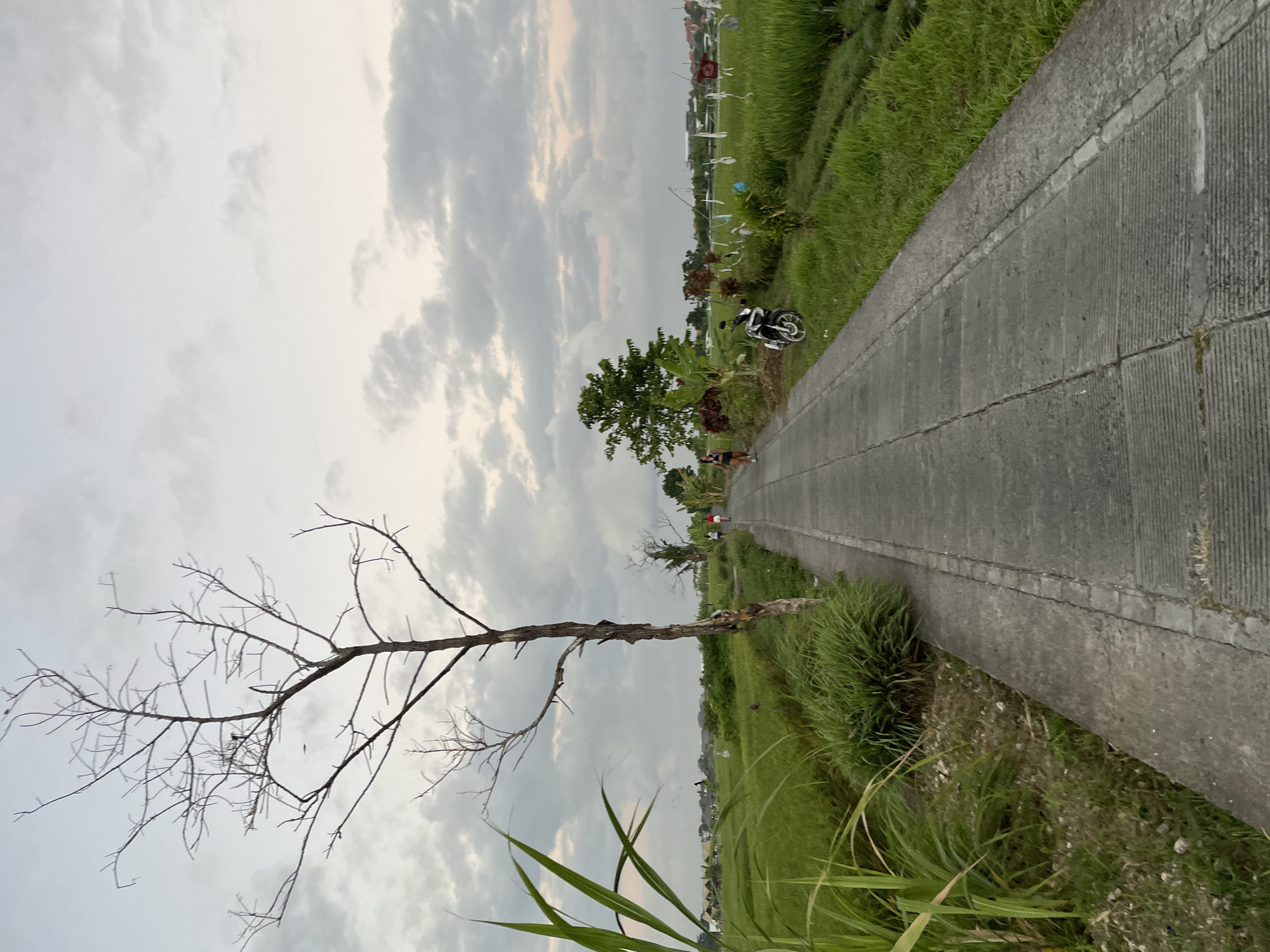 Green rice paddies line a quiet path in North Kuta, Bali