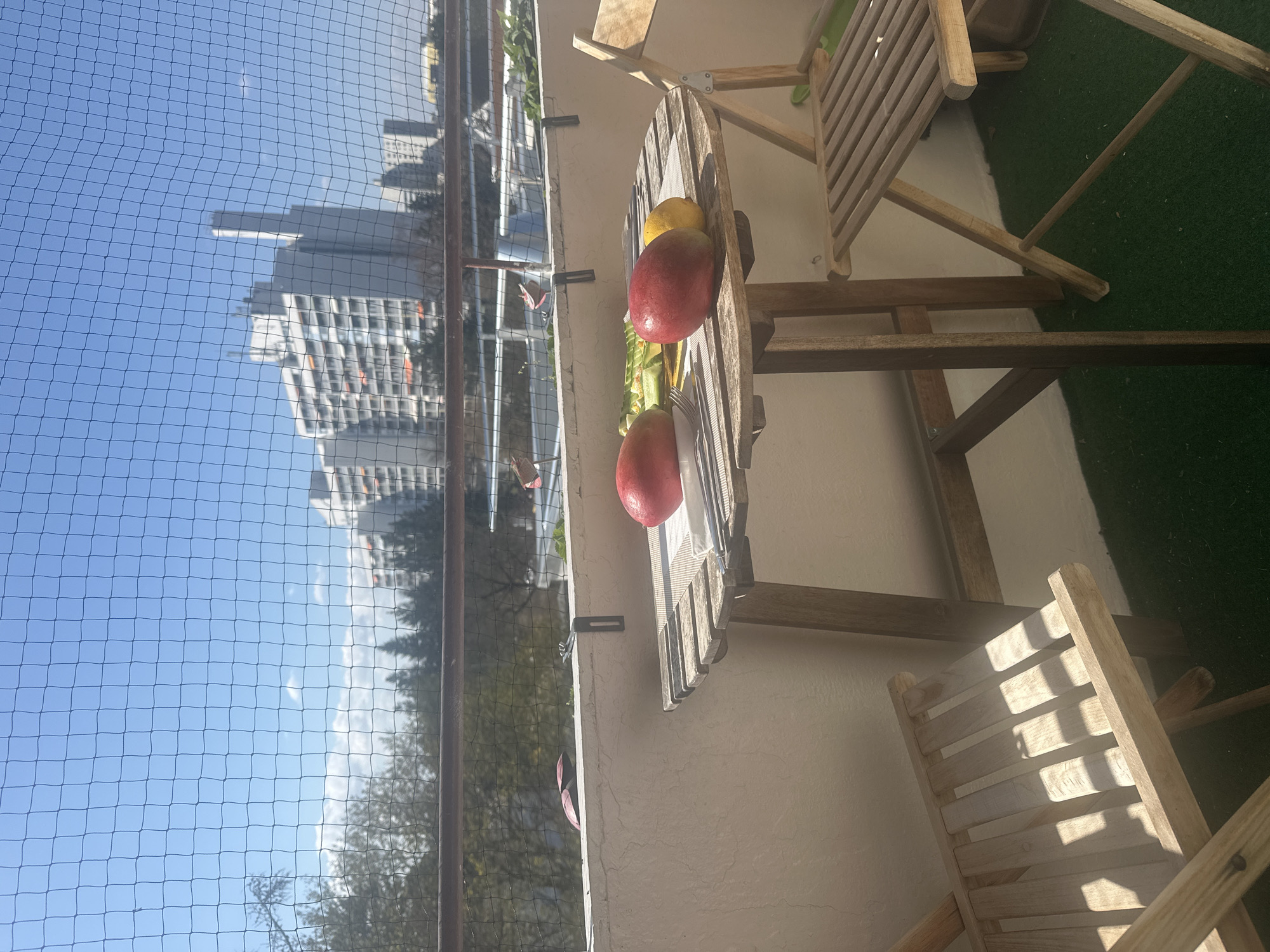 Munich resident captures balcony fruit breakfast scene
