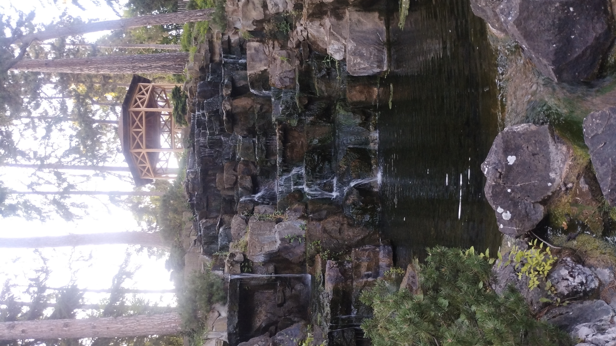 Evening stroll through Schönbrunn's ponds, waterfalls, and garden paths
