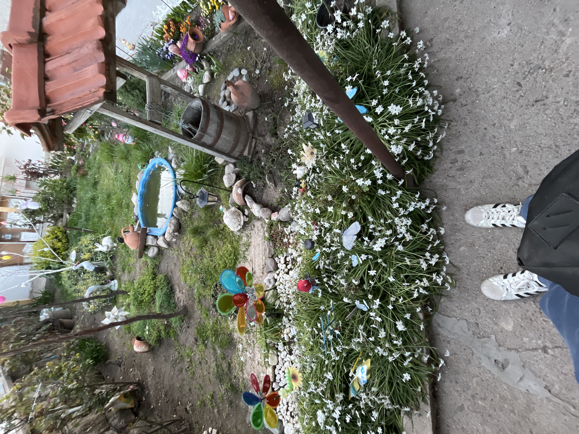 Woman pets dog in garden setting in Karavelovo, Bulgaria