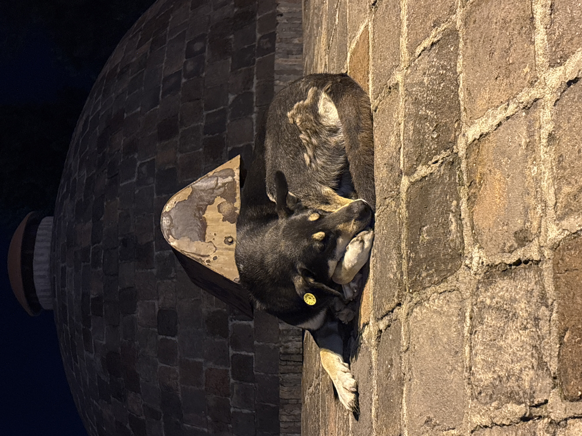 Night visit to Tbilisi's Abanotubani baths and love lock bridge