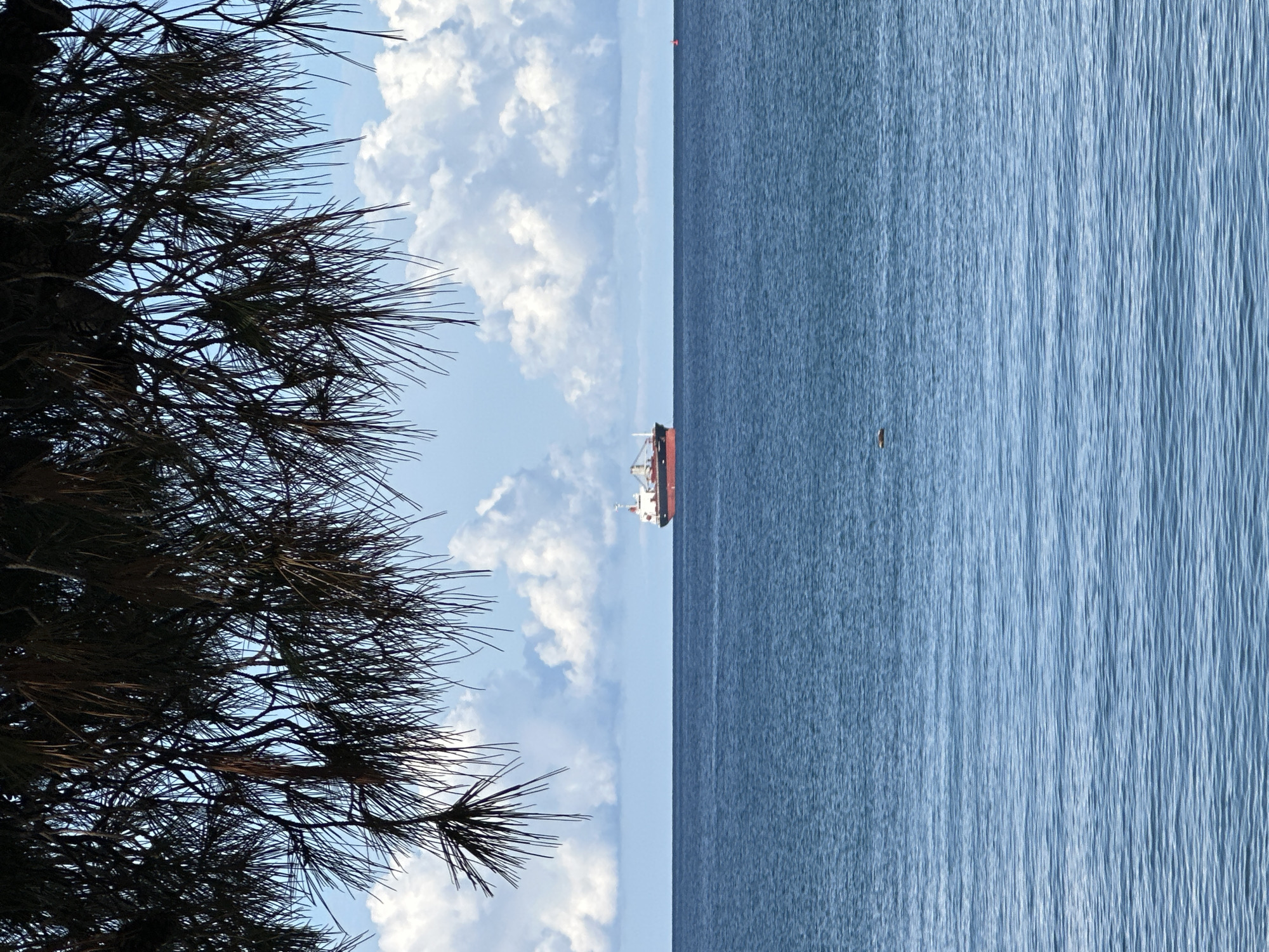 Morning coastal moments captured in Šušanj, Montenegro