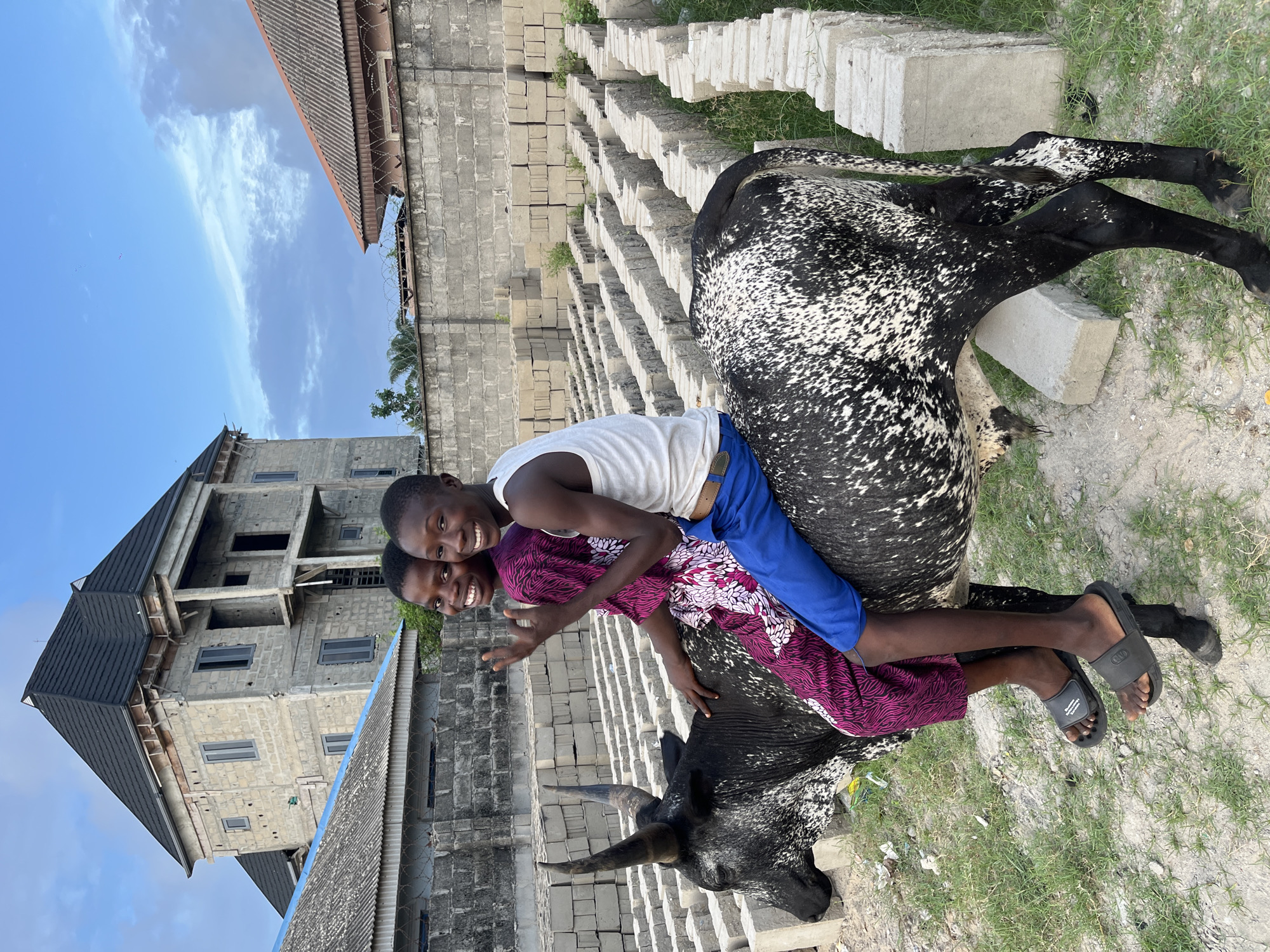 Children ride cattle in Badagry residential construction area