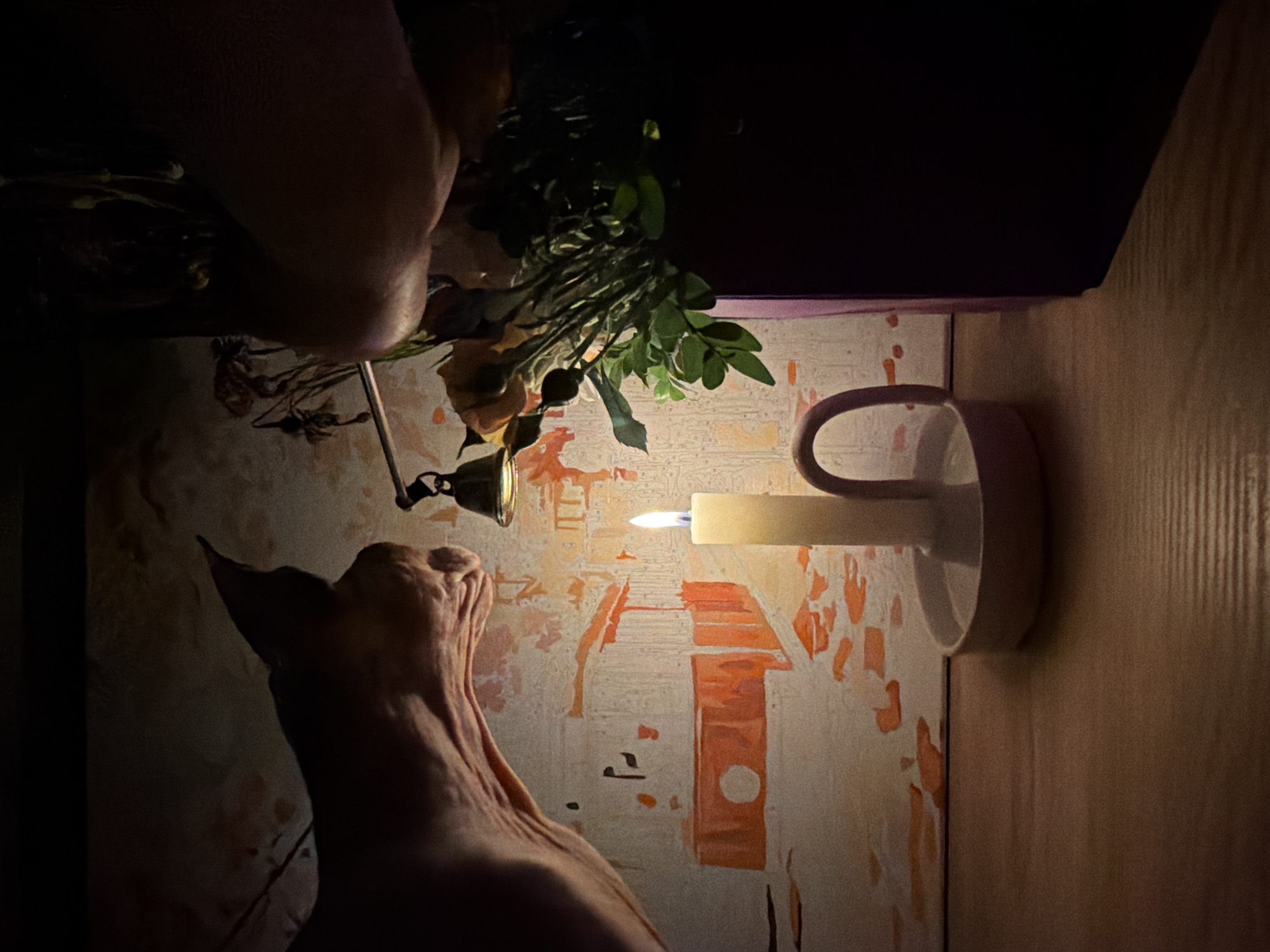 Sphynx cat shares candlelit evening with flowers and art
