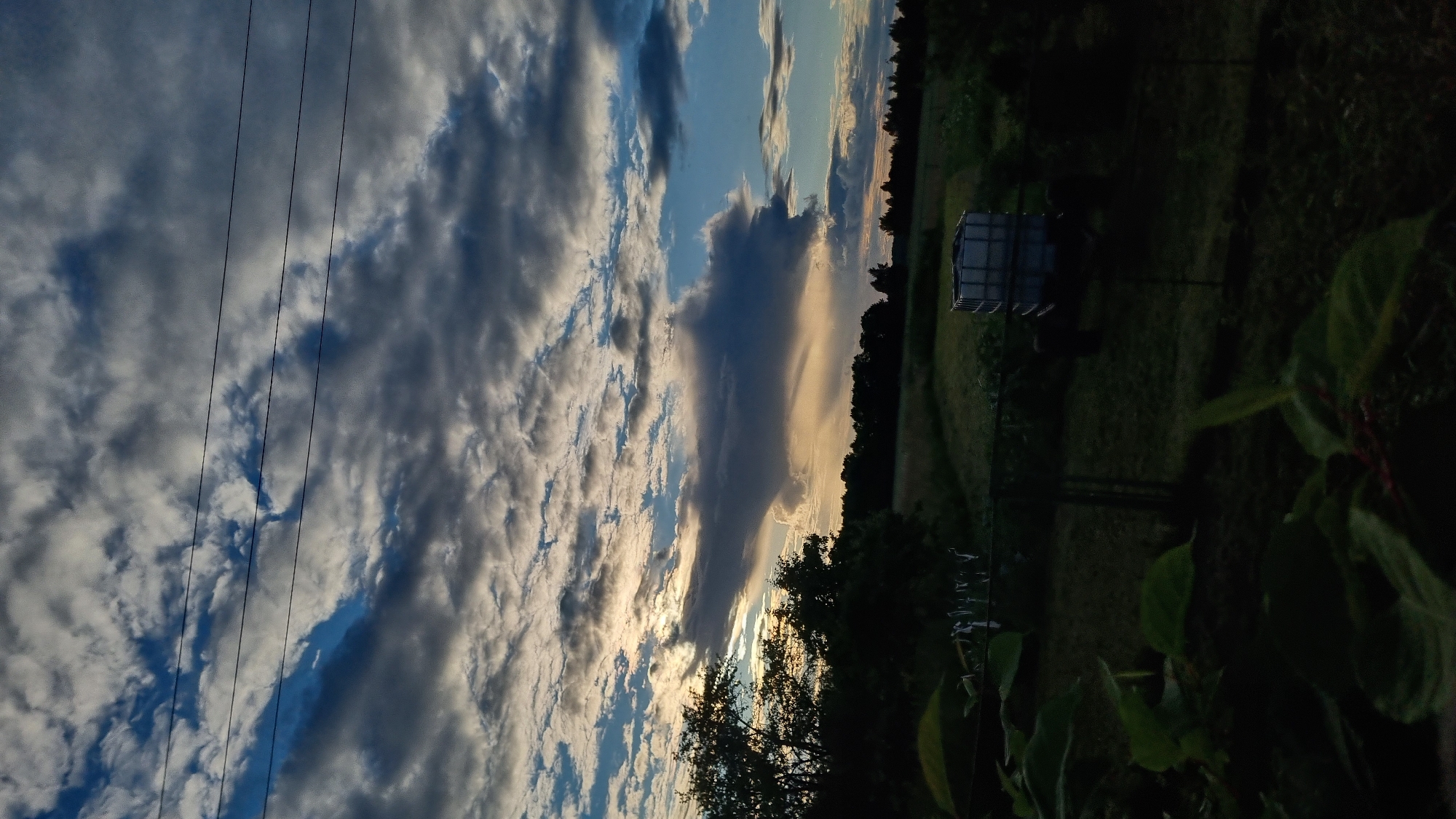 Scottish Fold cat dozes indoors while dramatic skies roll outside