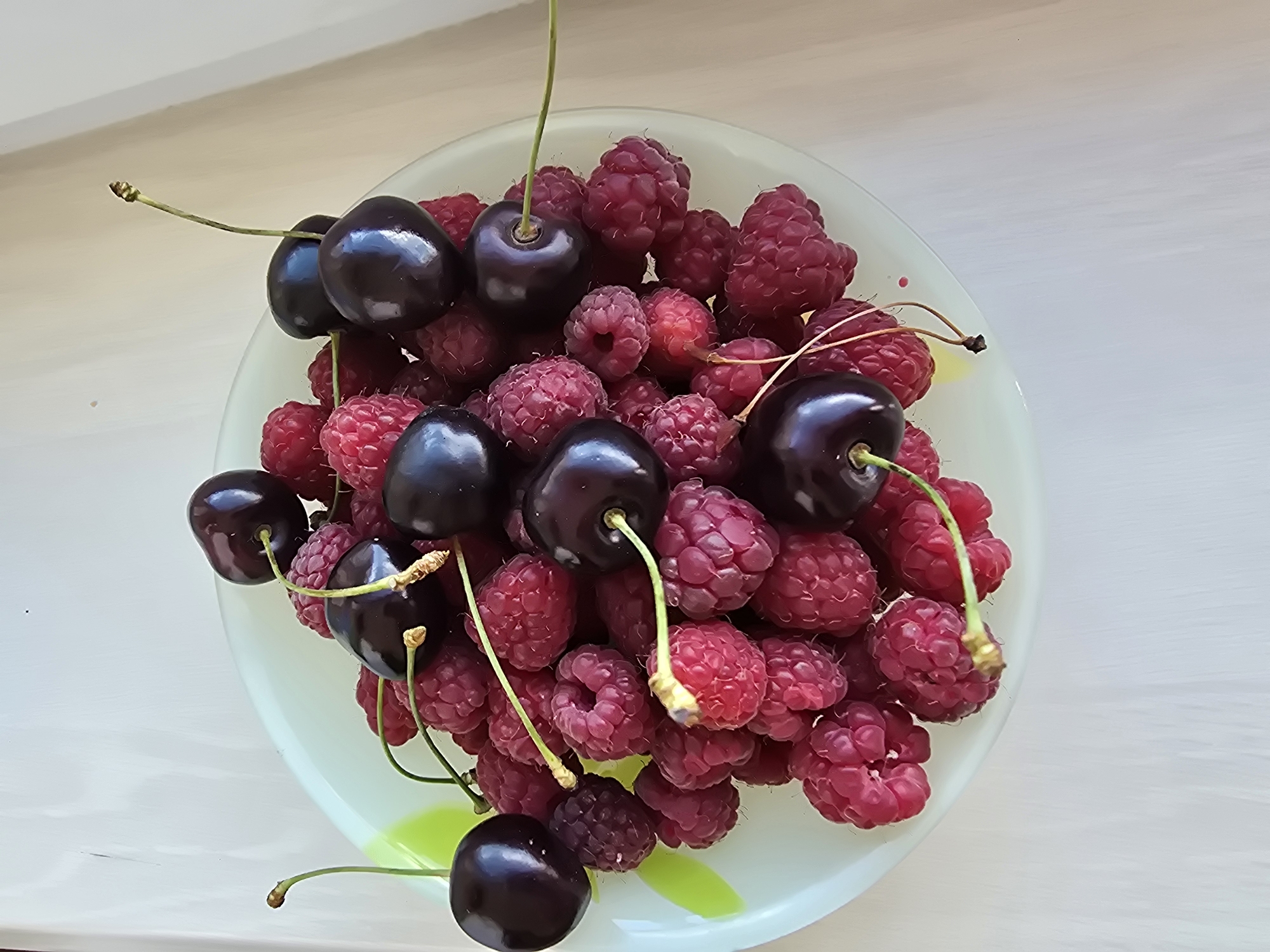 Summer garden life up close in suburban Kyiv