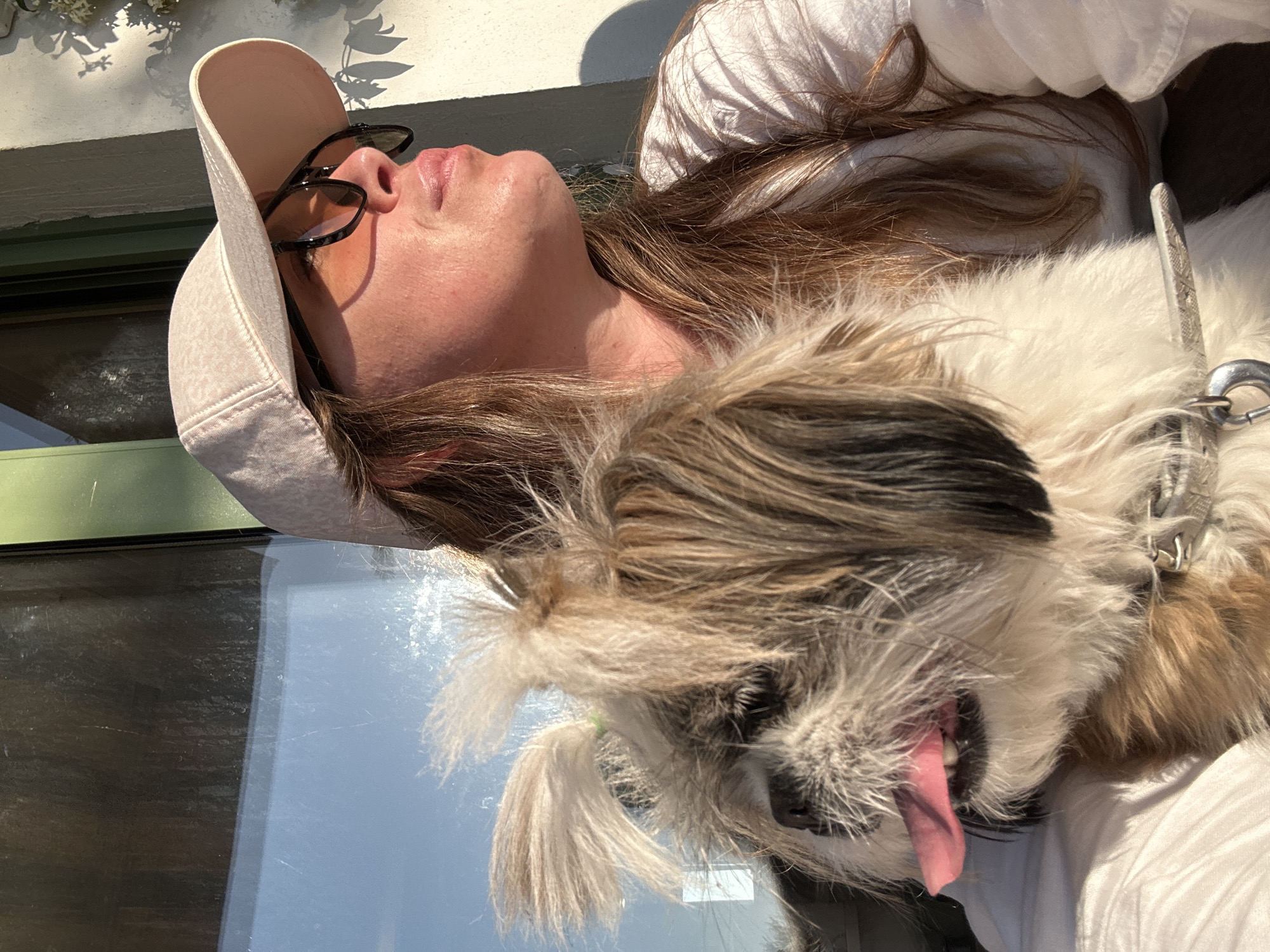 Afternoon coffee break with dogs at Batumi coastal cafe