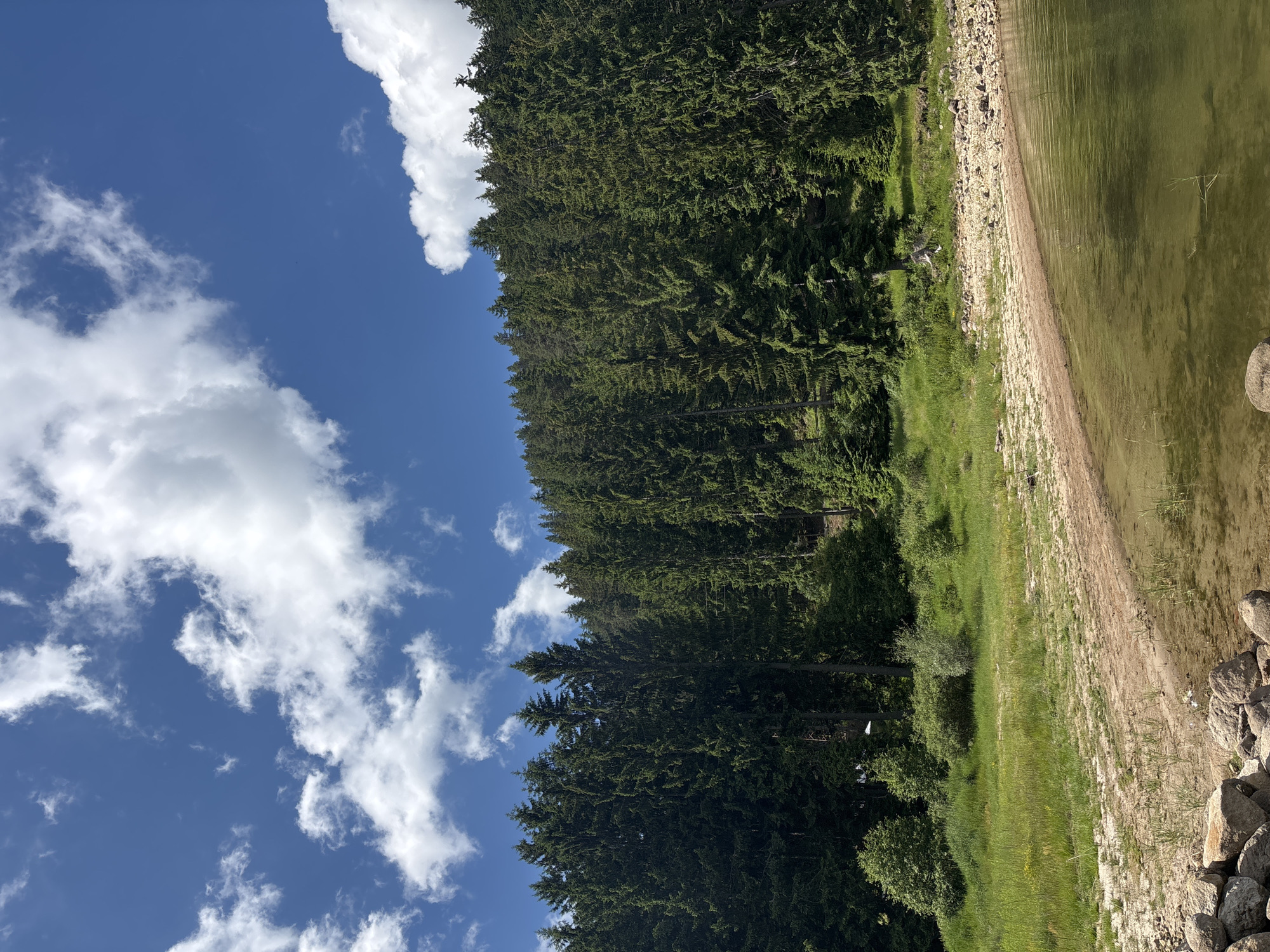 Morning at a forested lake, shoreline to sky