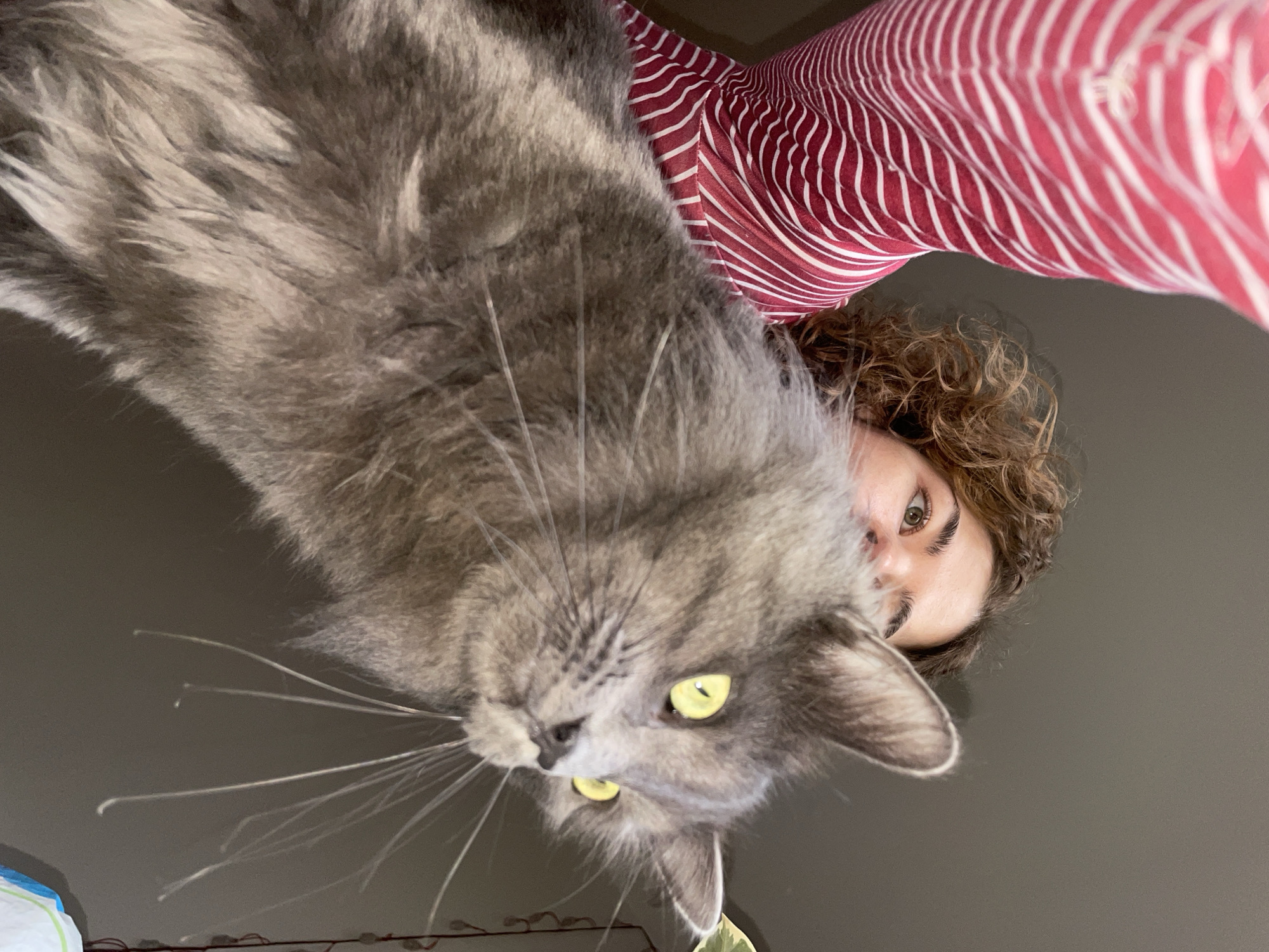 Woman documents morning routine with pets by Adriatic coast