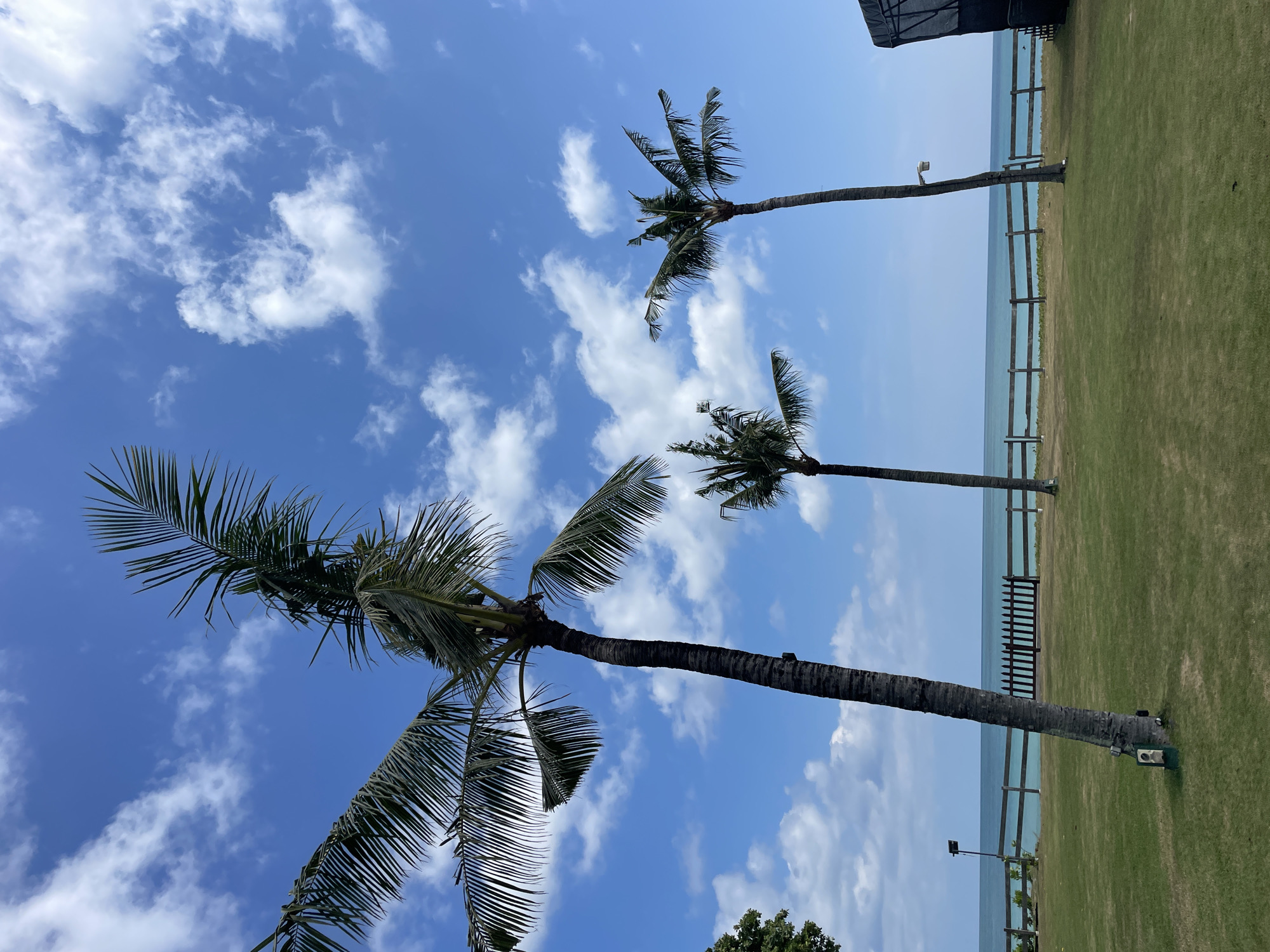 Tropical resort grounds documented in 18 memories over 8 minutes