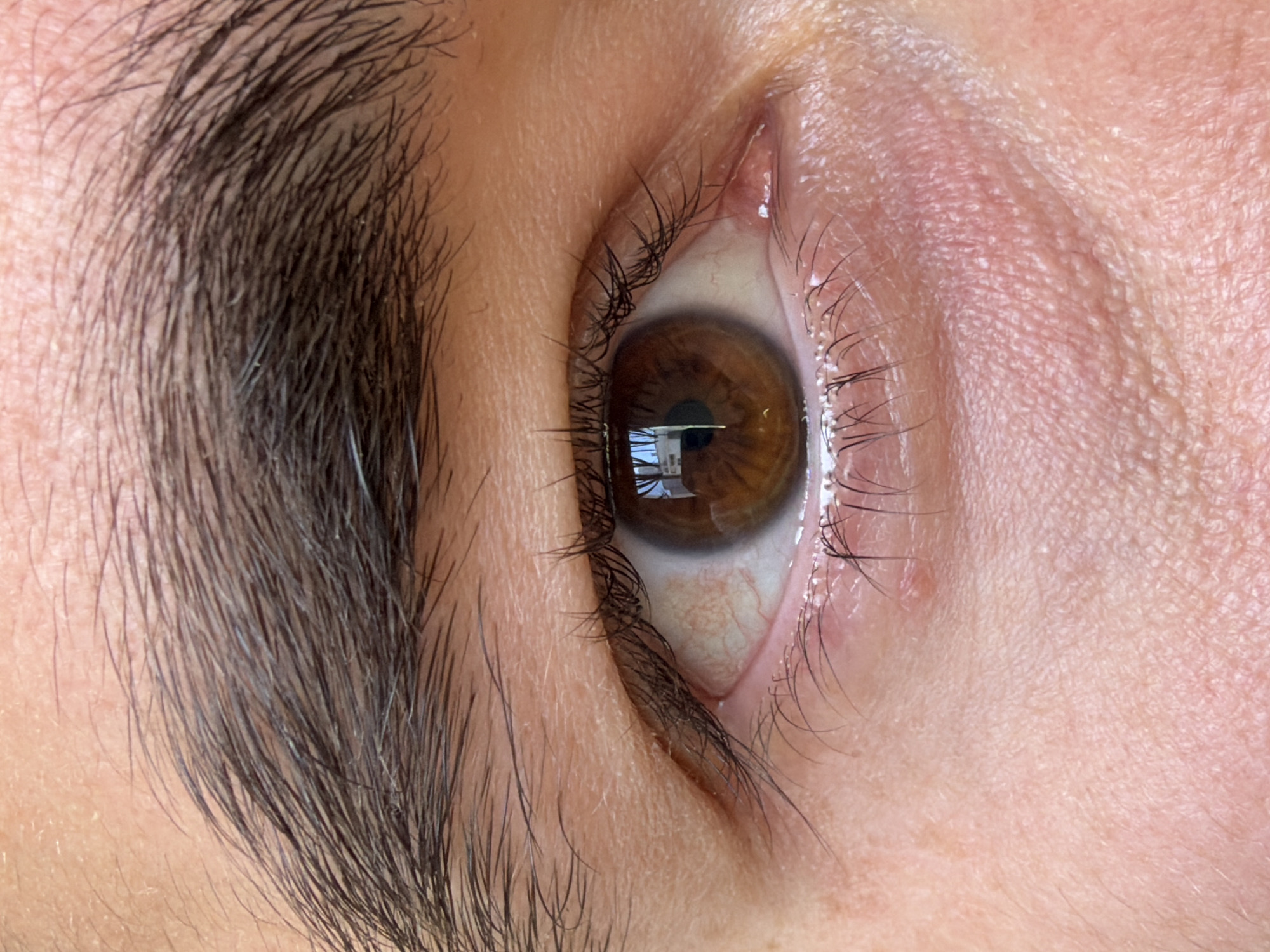 Close-up eye photograph captured in Al Jizah, Jordan