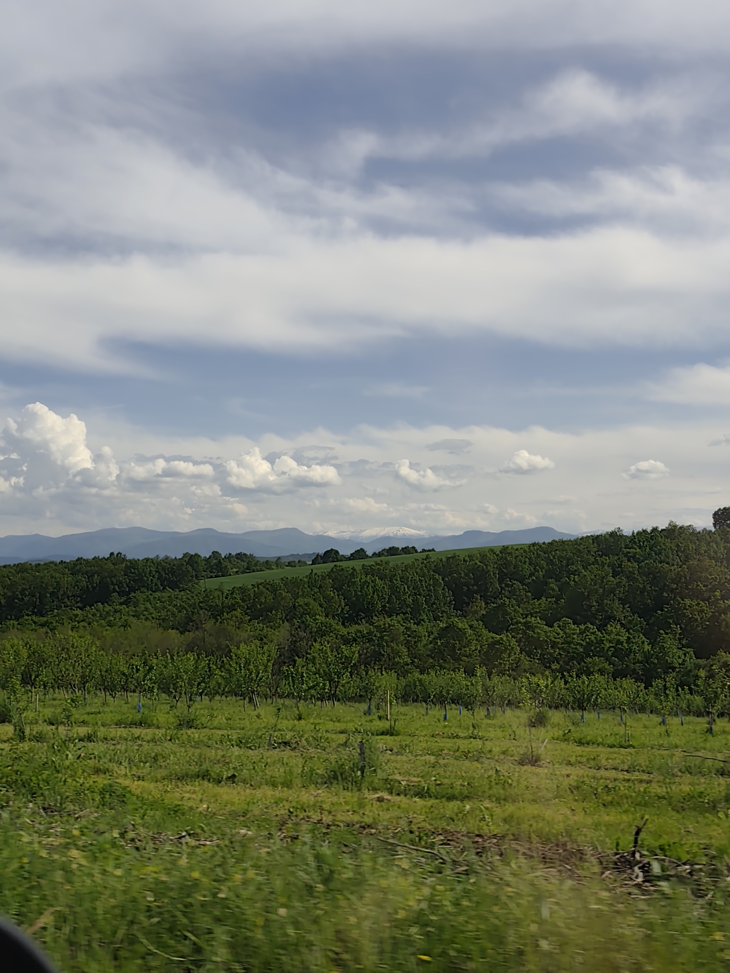 Rural highway journey documented through countryside landscapes