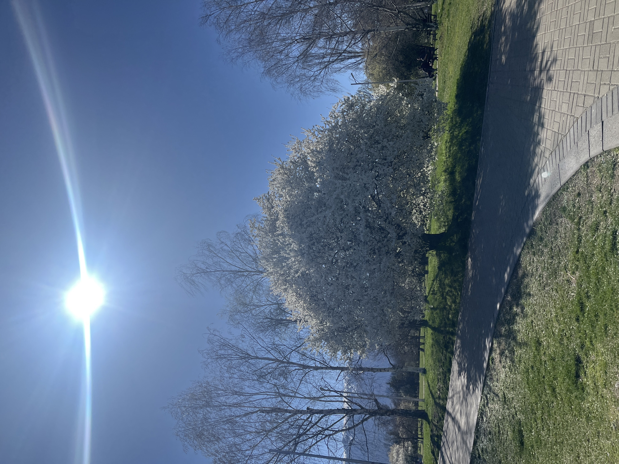 Clear spring day observed at Sofia park