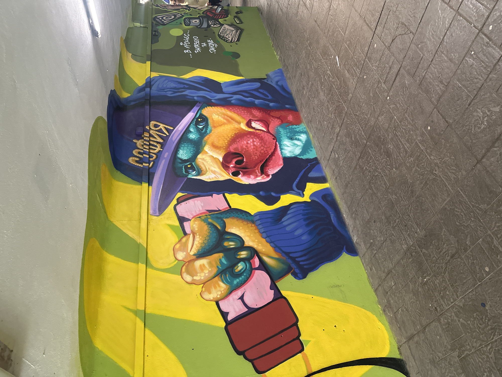Street art murals documented in Sofia underpass
