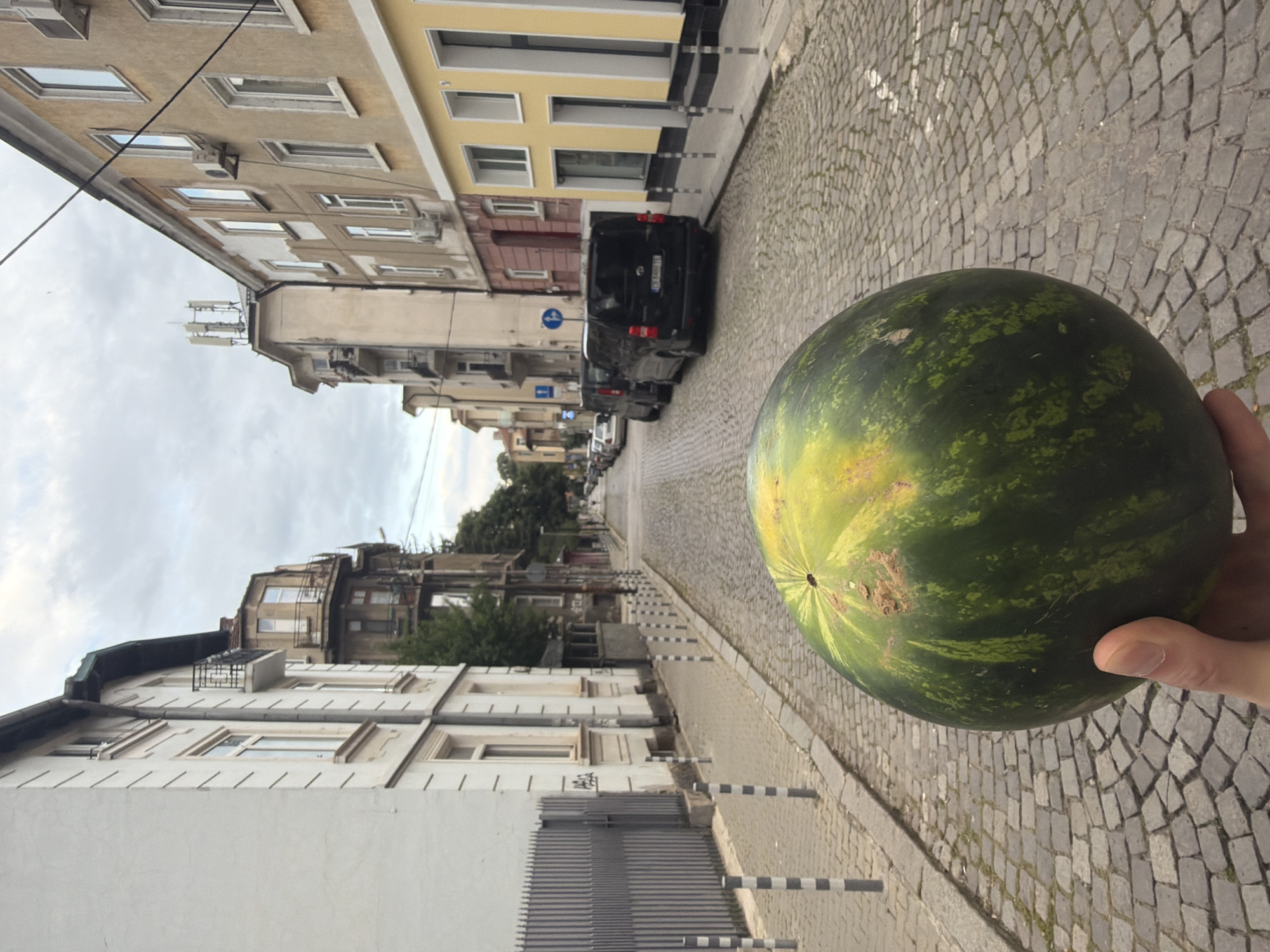 Person holds watermelon in Sofia, Bulgaria