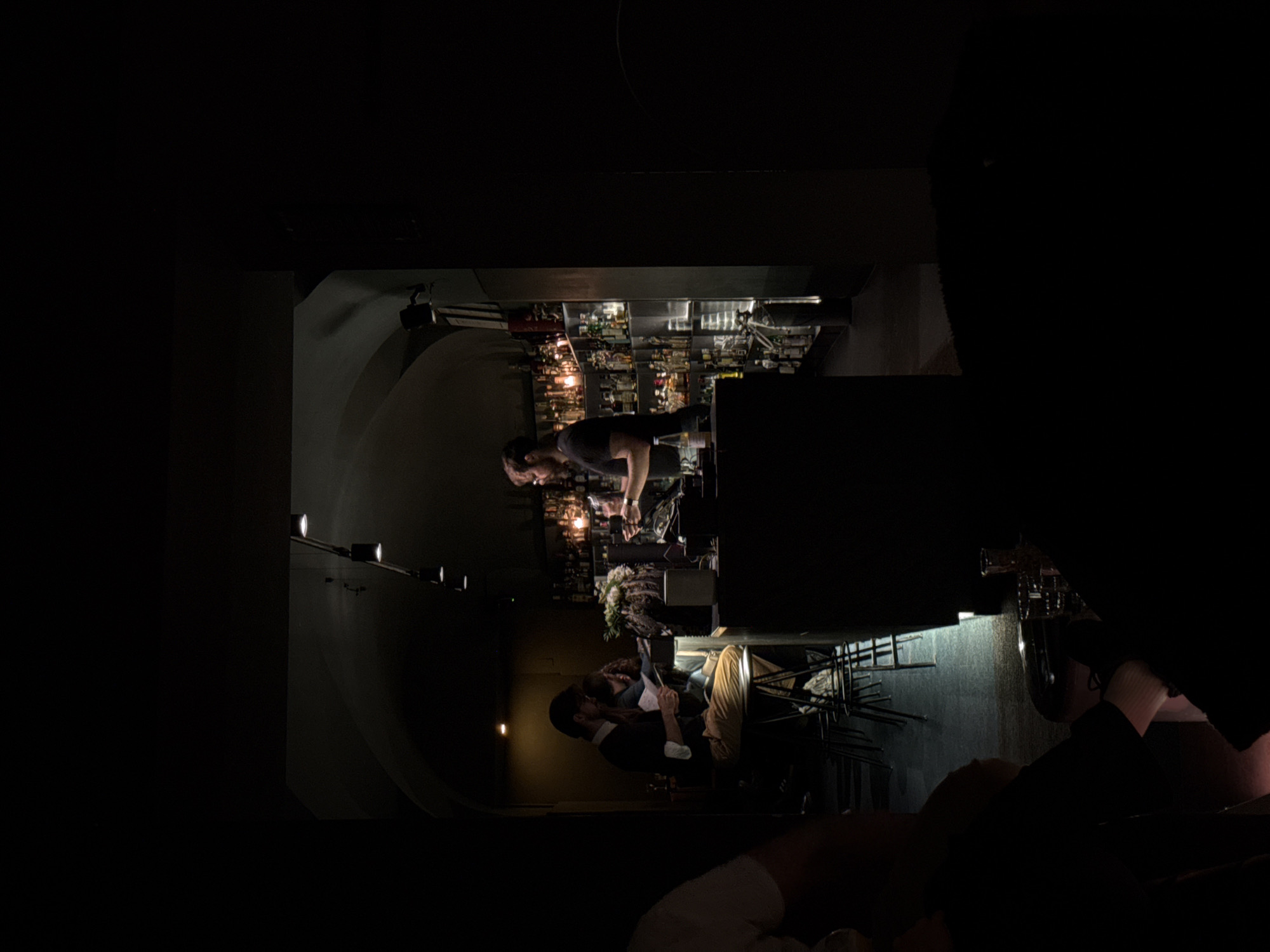 Evening scenes captured at upscale Vienna bar