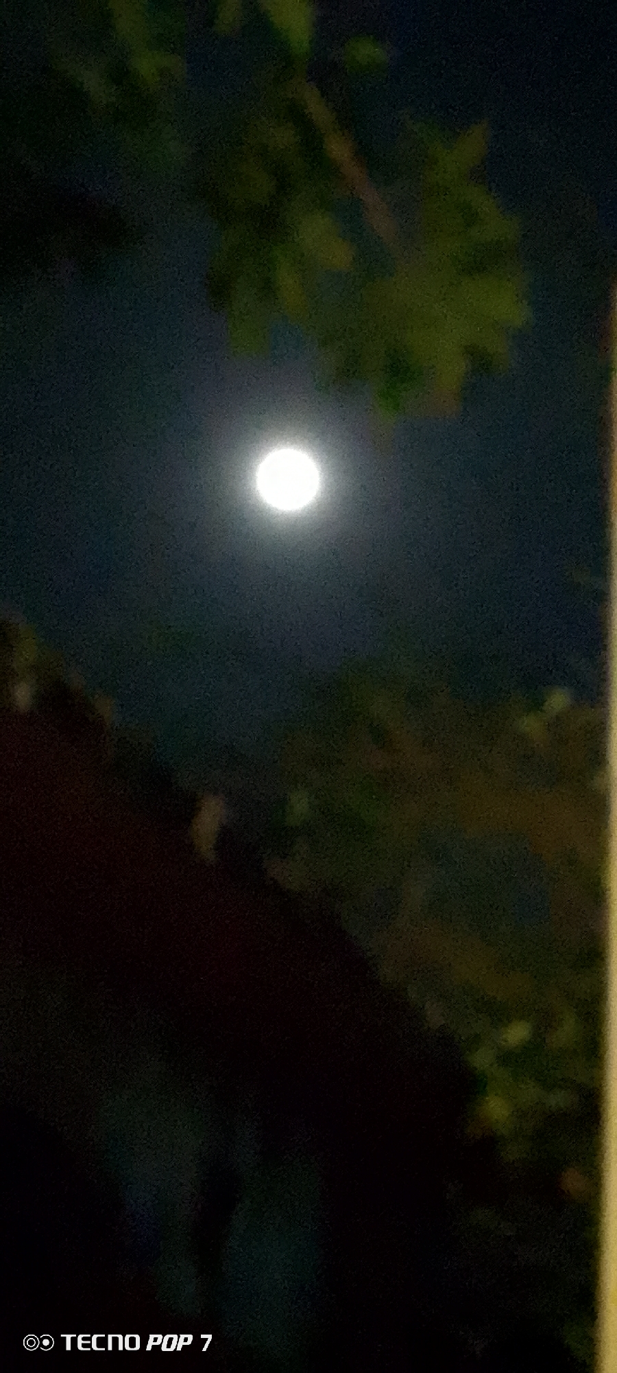 Full moon photographed over residential Altagracia, Venezuela