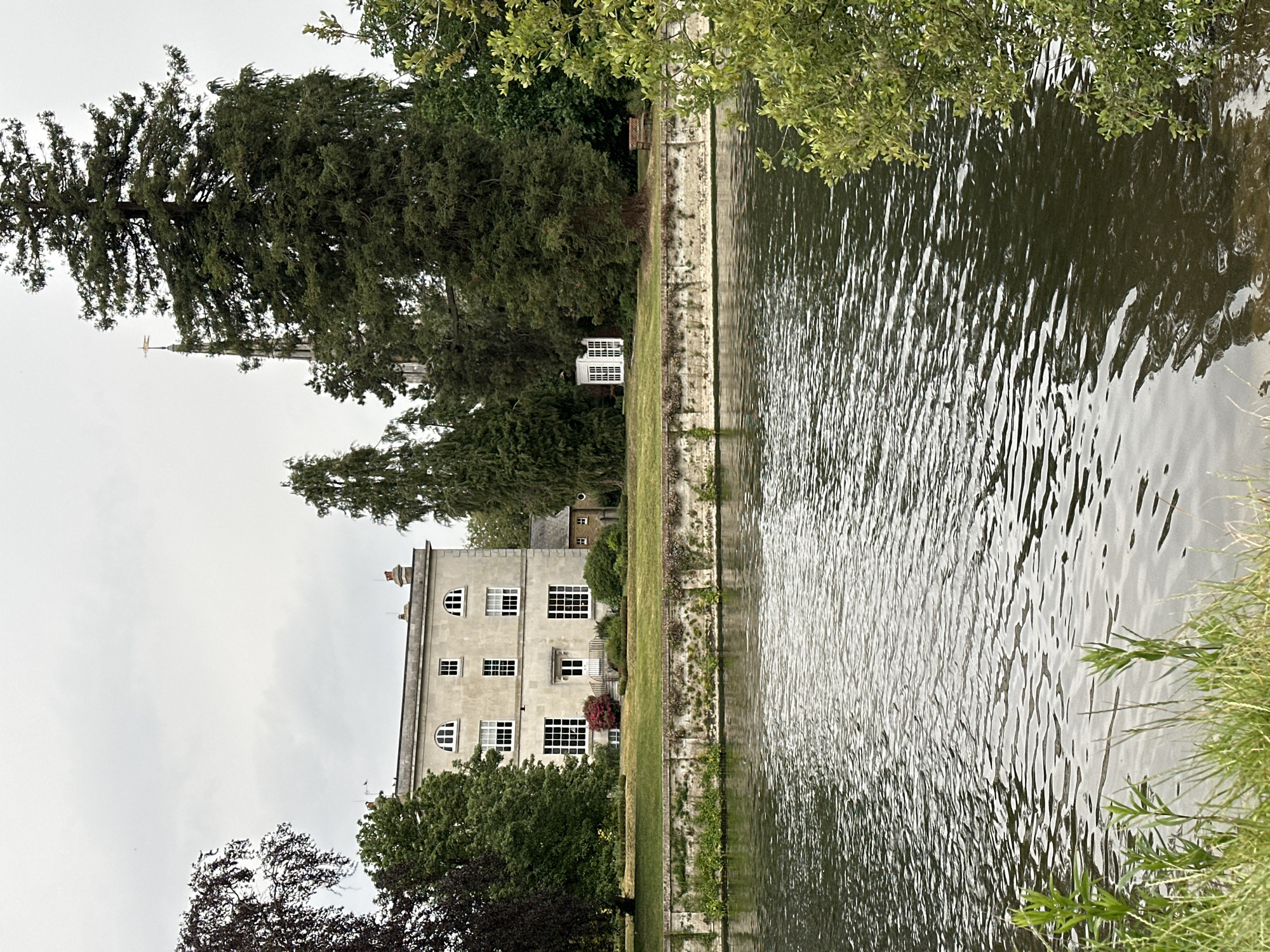 Waterfront afternoon: casual dining, nature, art captured by witness
