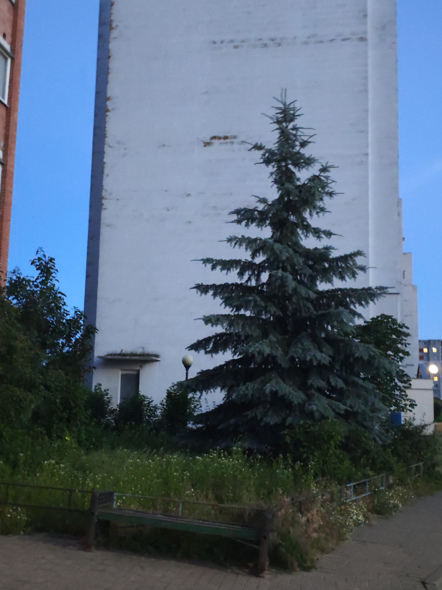 A quiet June evening in a Svietlahorsk apartment neighborhood
