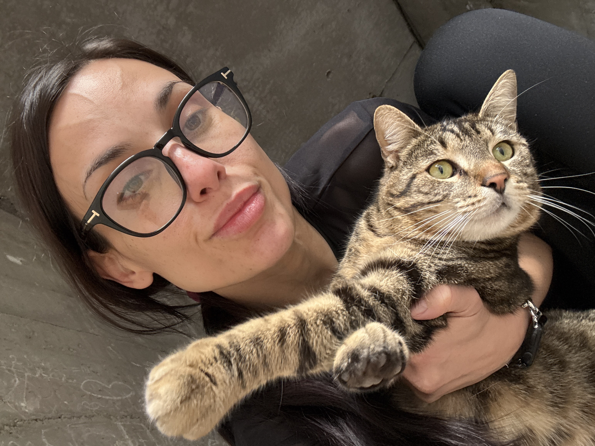 Morning routines and pet moments captured in Pleven