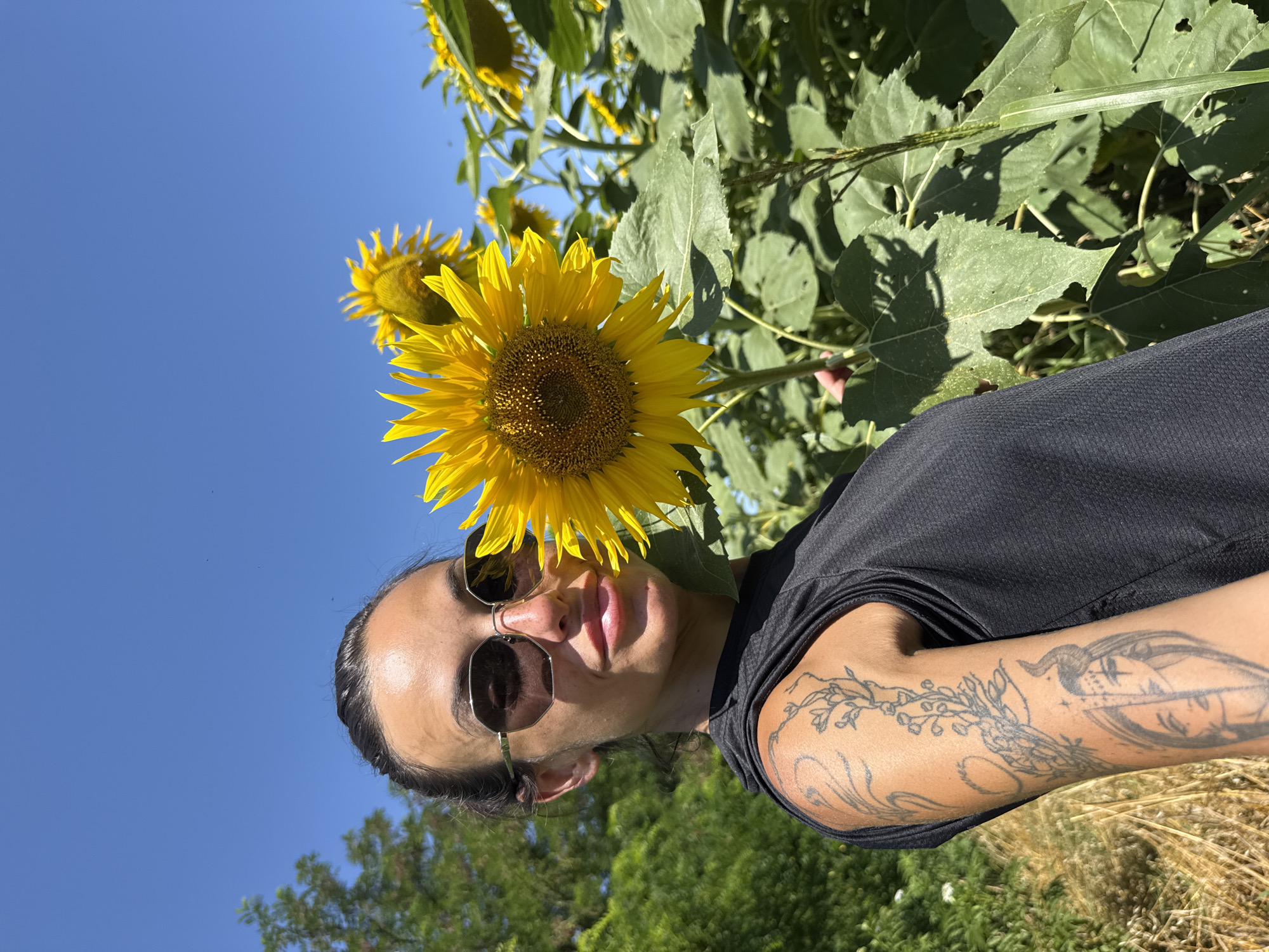 Sunflower field moment in Yasen, Bulgaria