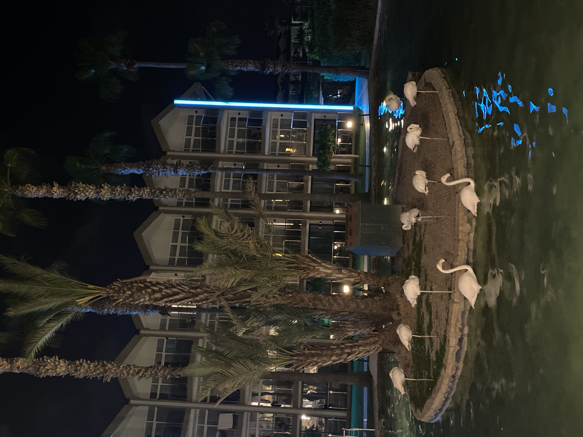 Flamingo statues displayed on pond island in Kemer resort