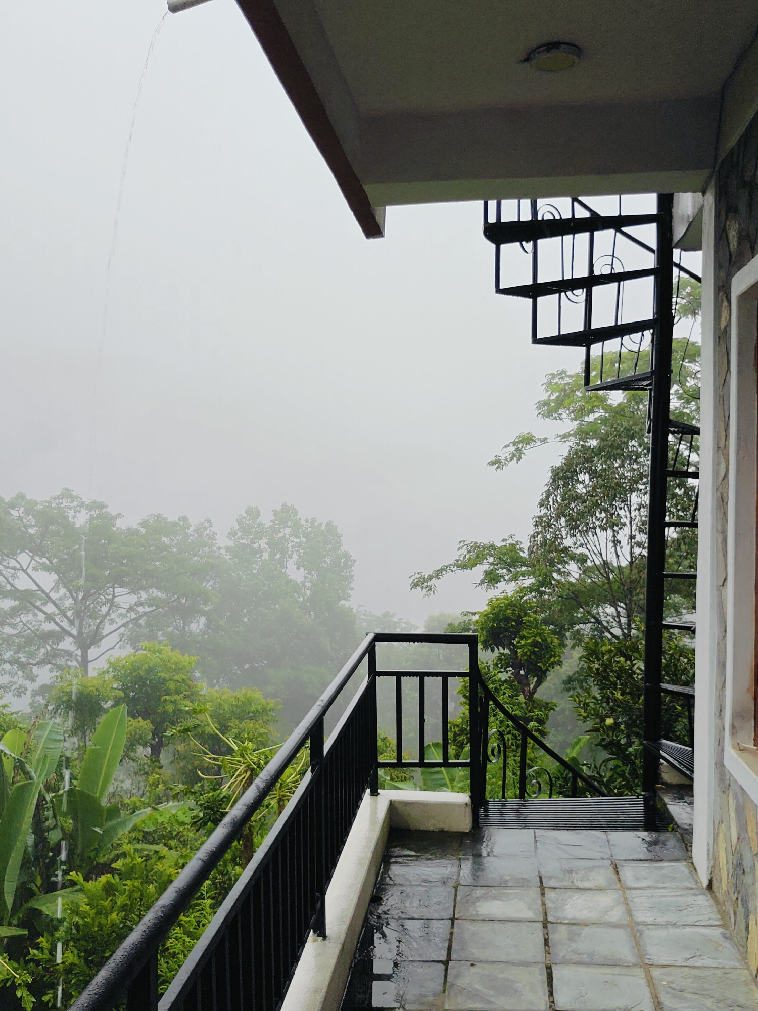 Rainstorm and fog settle over a green garden in Pokhara