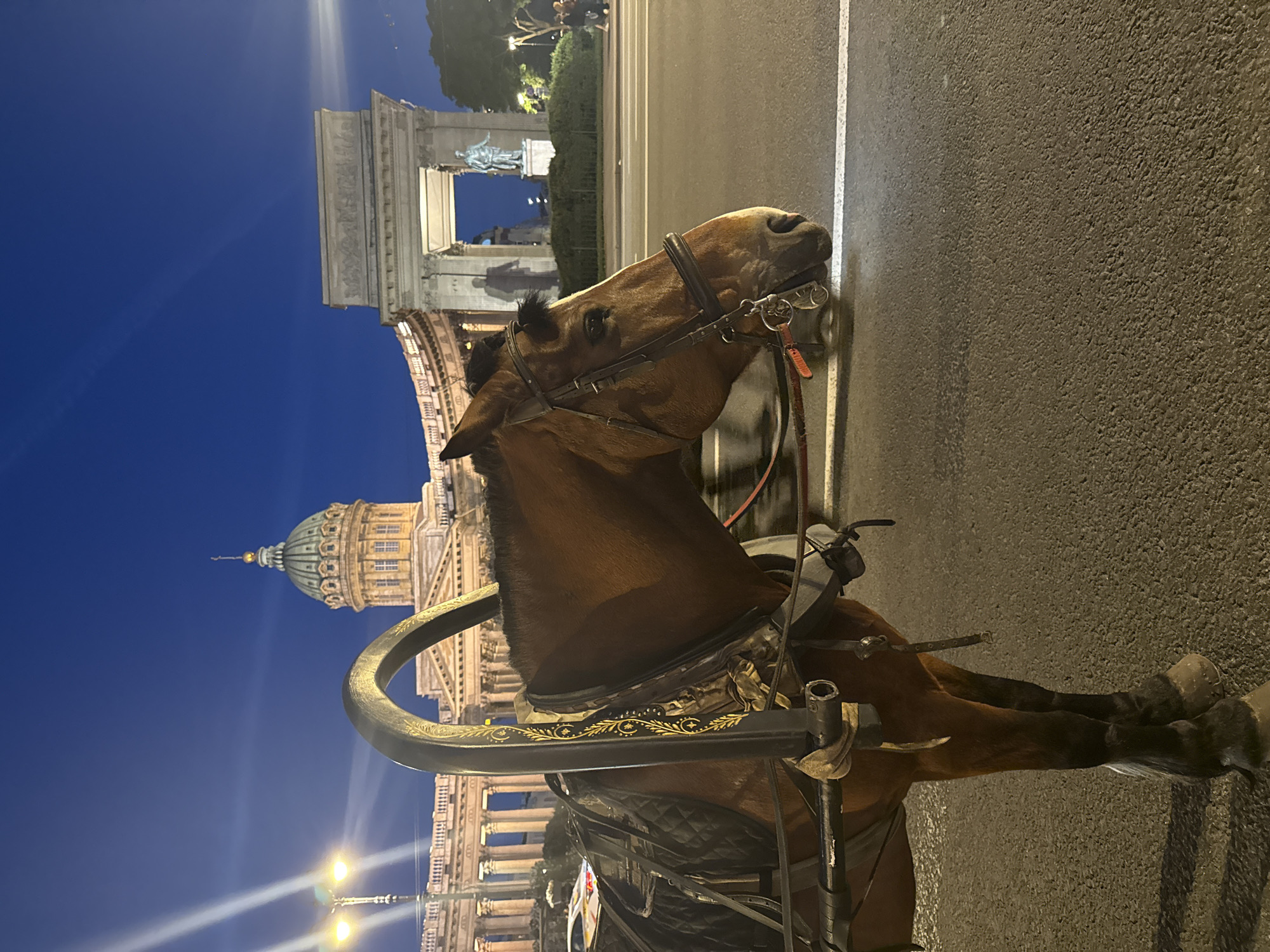 Evening carriages and street life captured around Saint Petersburg landmarks