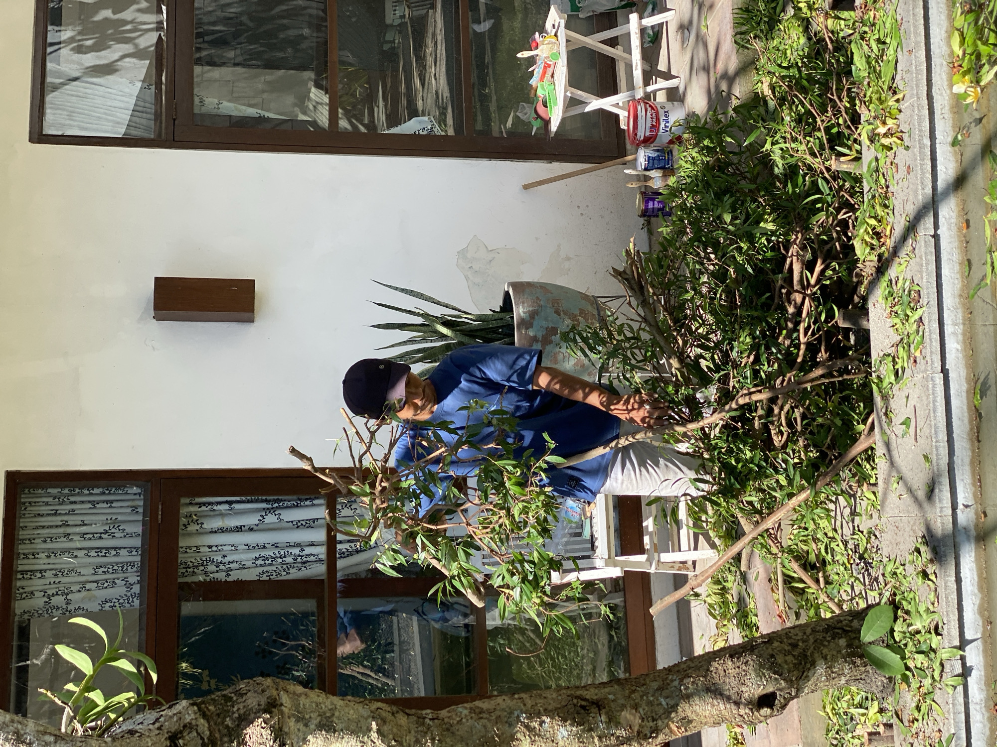 Balinese property mid-renovation, grounds and pool in rough shape