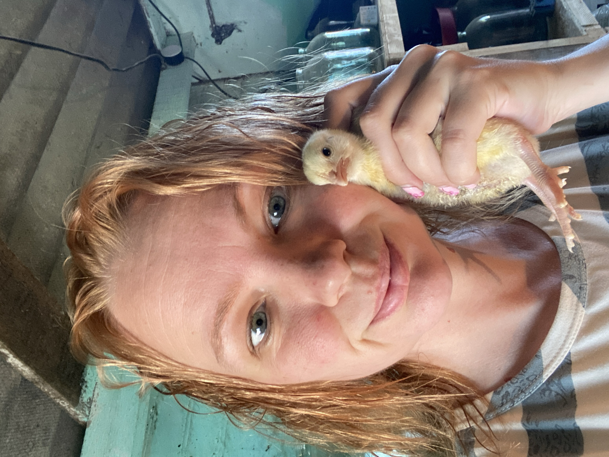 Rural Russian morning: woman, chicks, household scenes documented